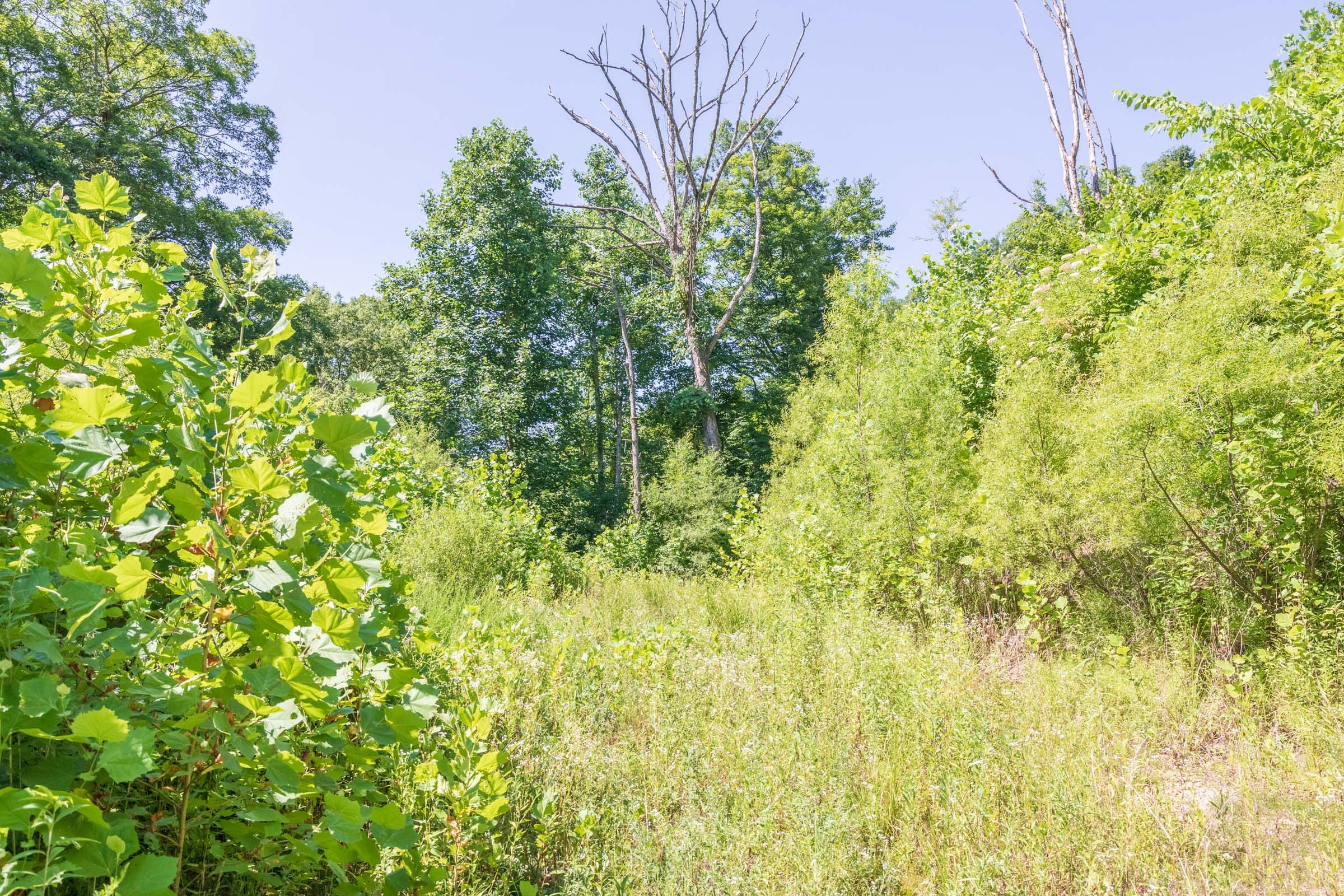 River’s Edge Tract 38 photo 5