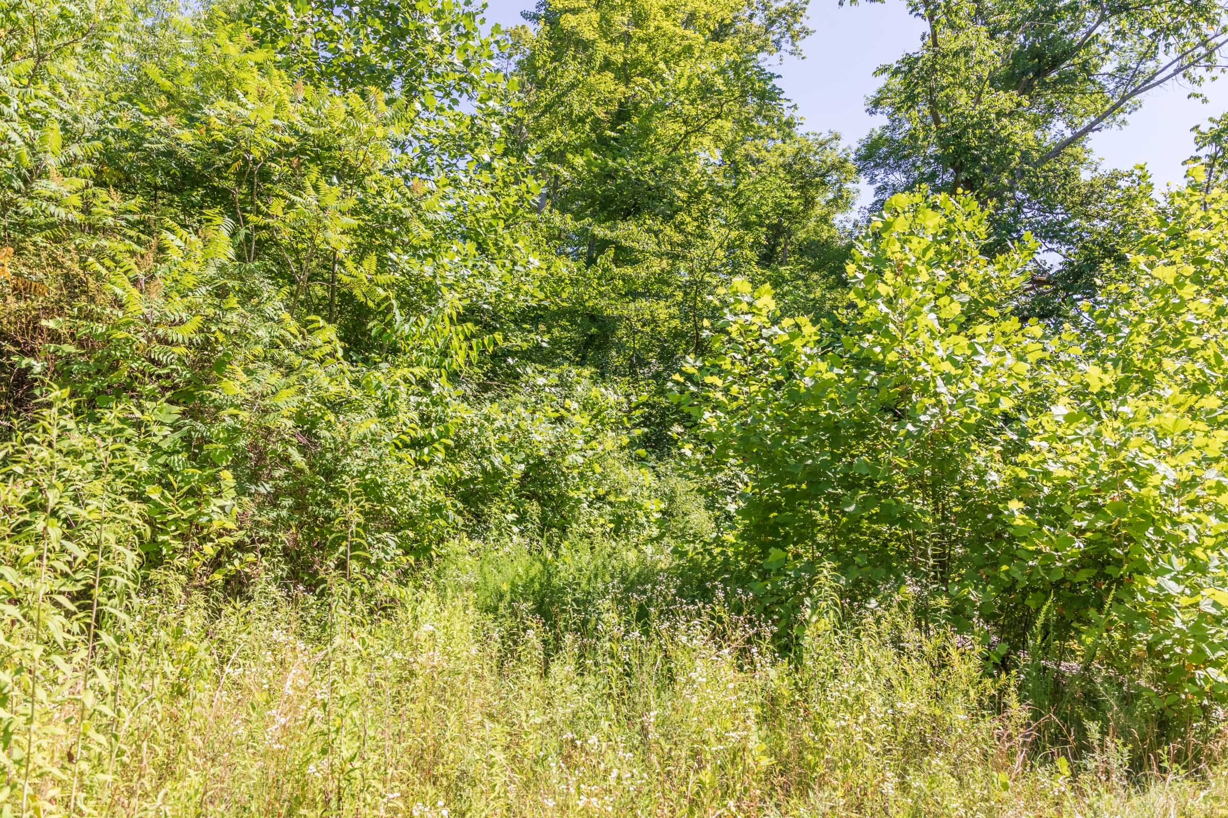River’s Edge Tract 38 photo 7