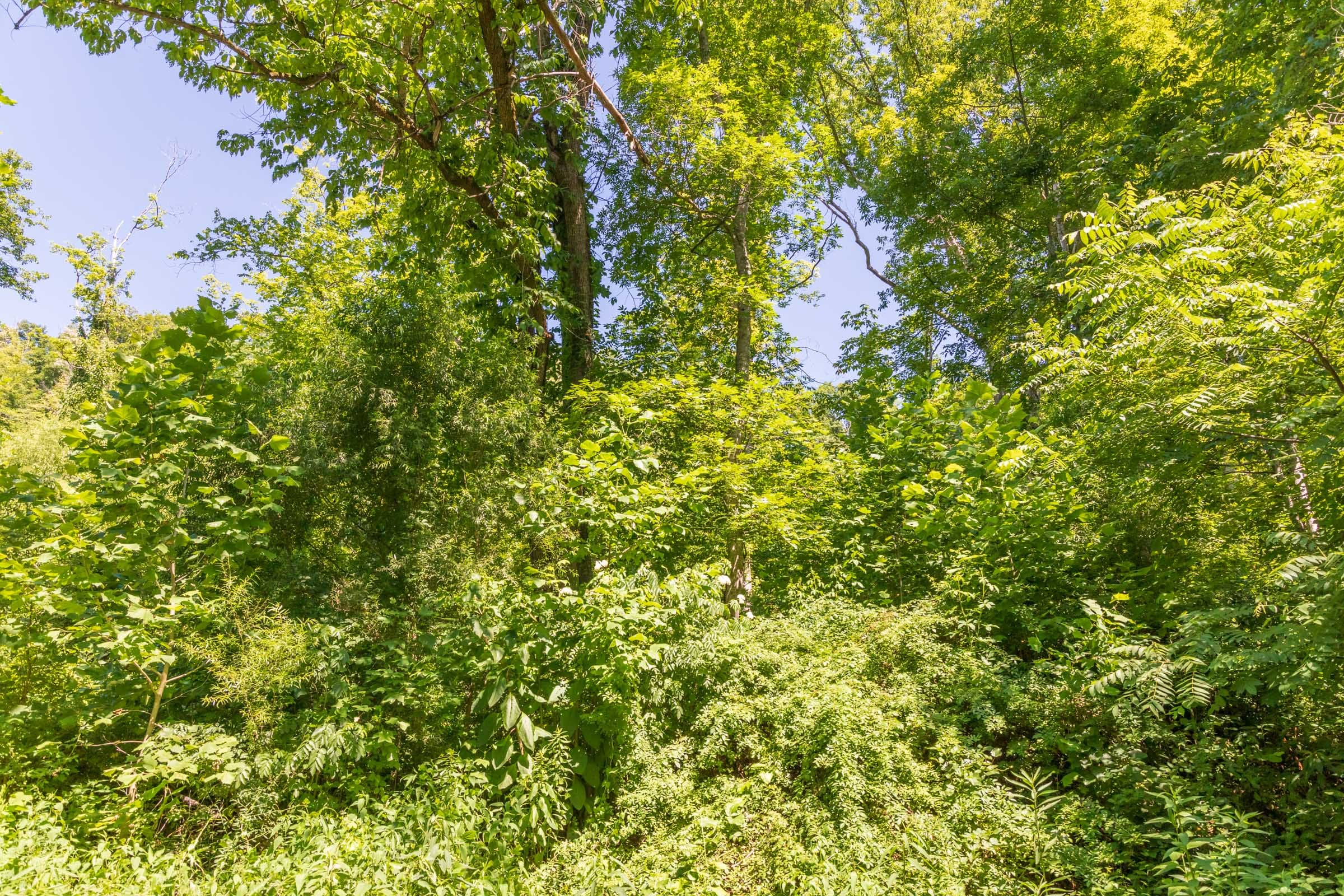 River’s Edge Tract 38 photo 9