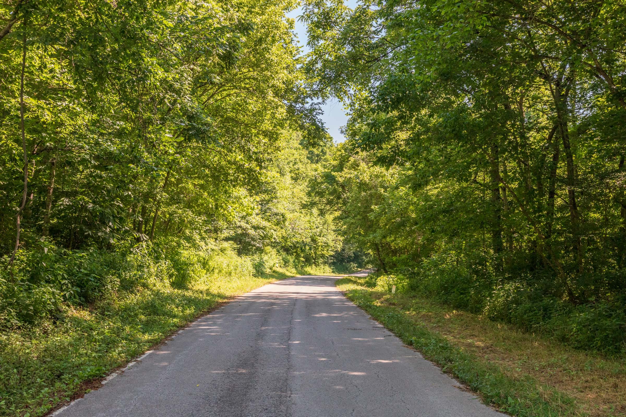 River’s Edge Tract 38 photo 8