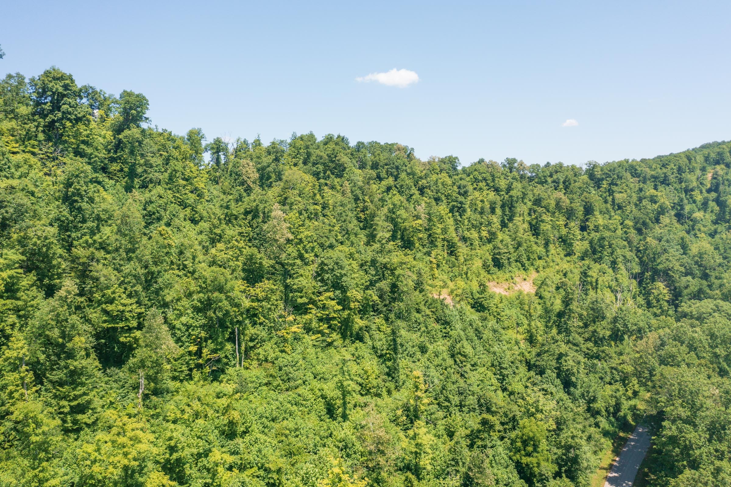River’s Edge Tract 38 photo 13