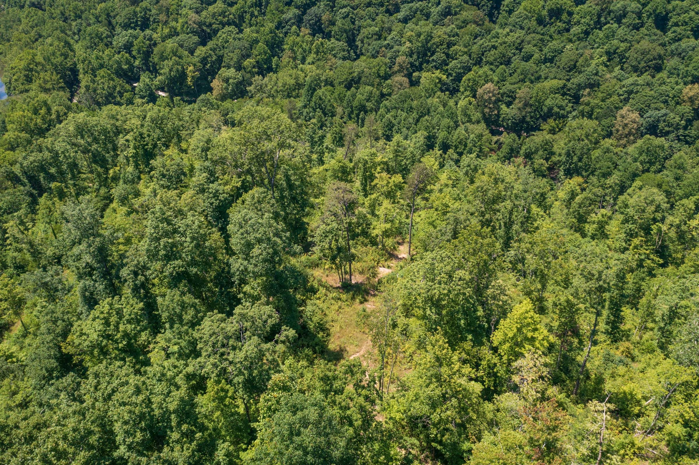 River’s Edge Tract 38 photo 14