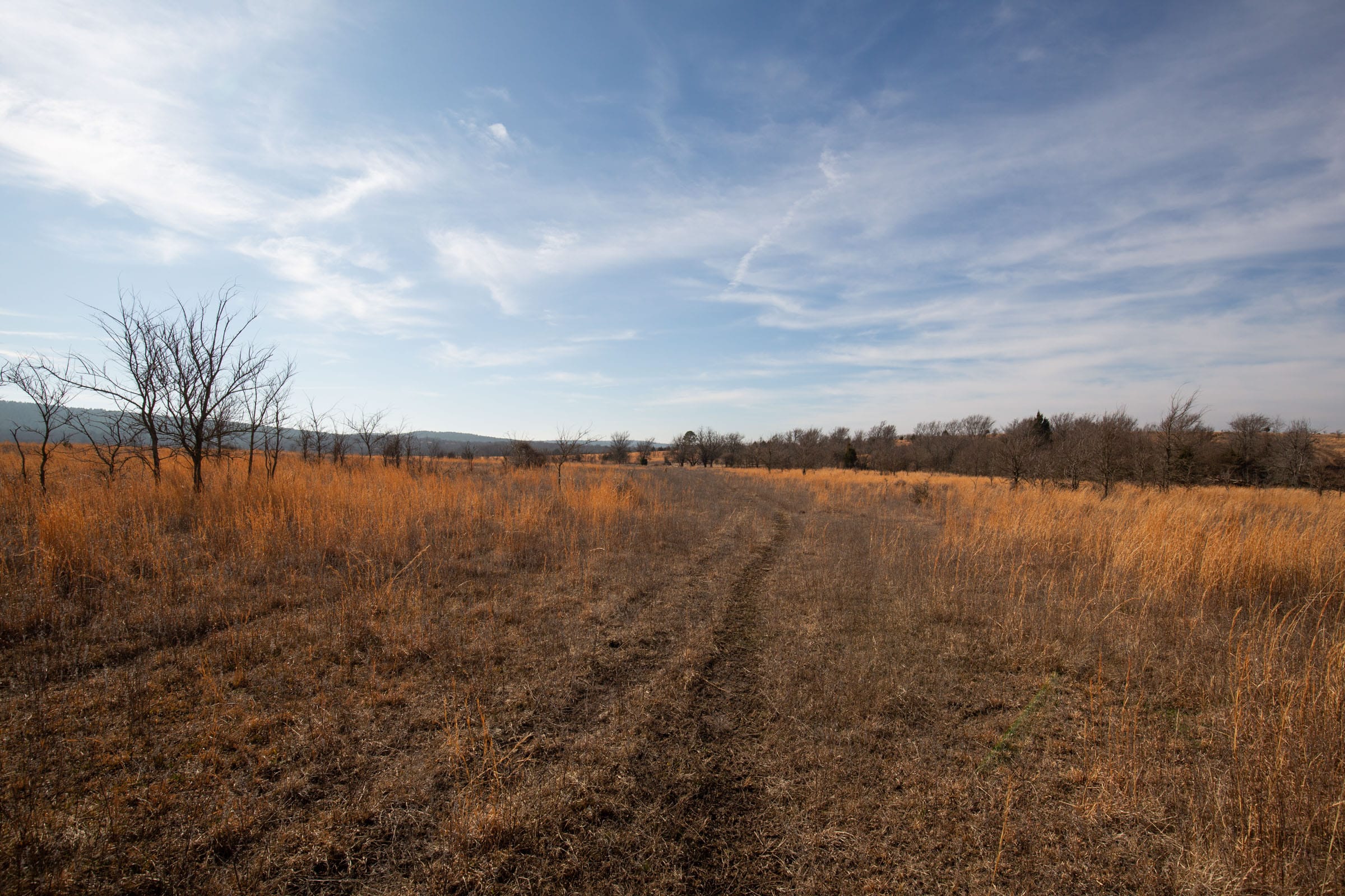 Painted Horse Tract 26 photo 14