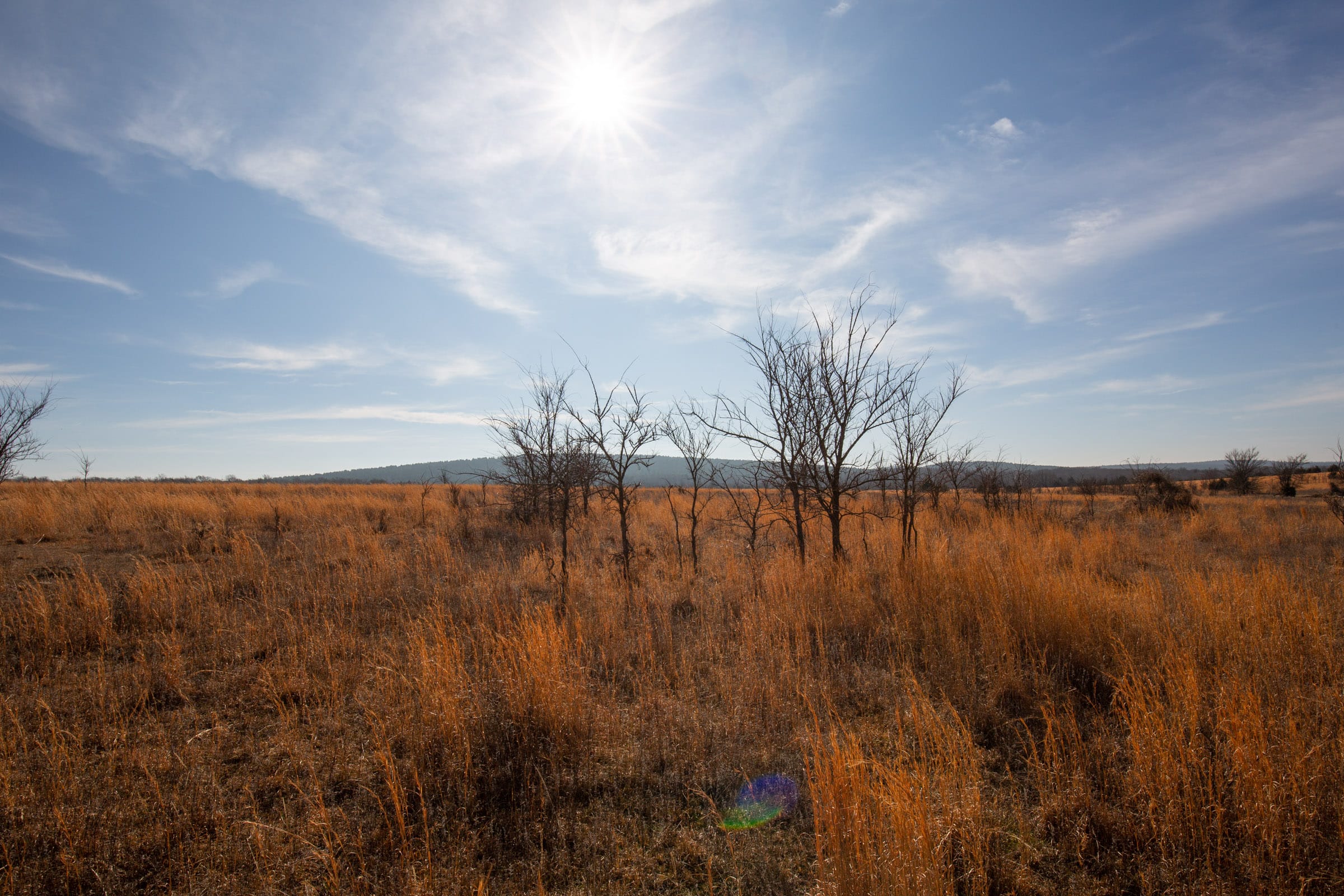 Painted Horse Tract 26 photo 2