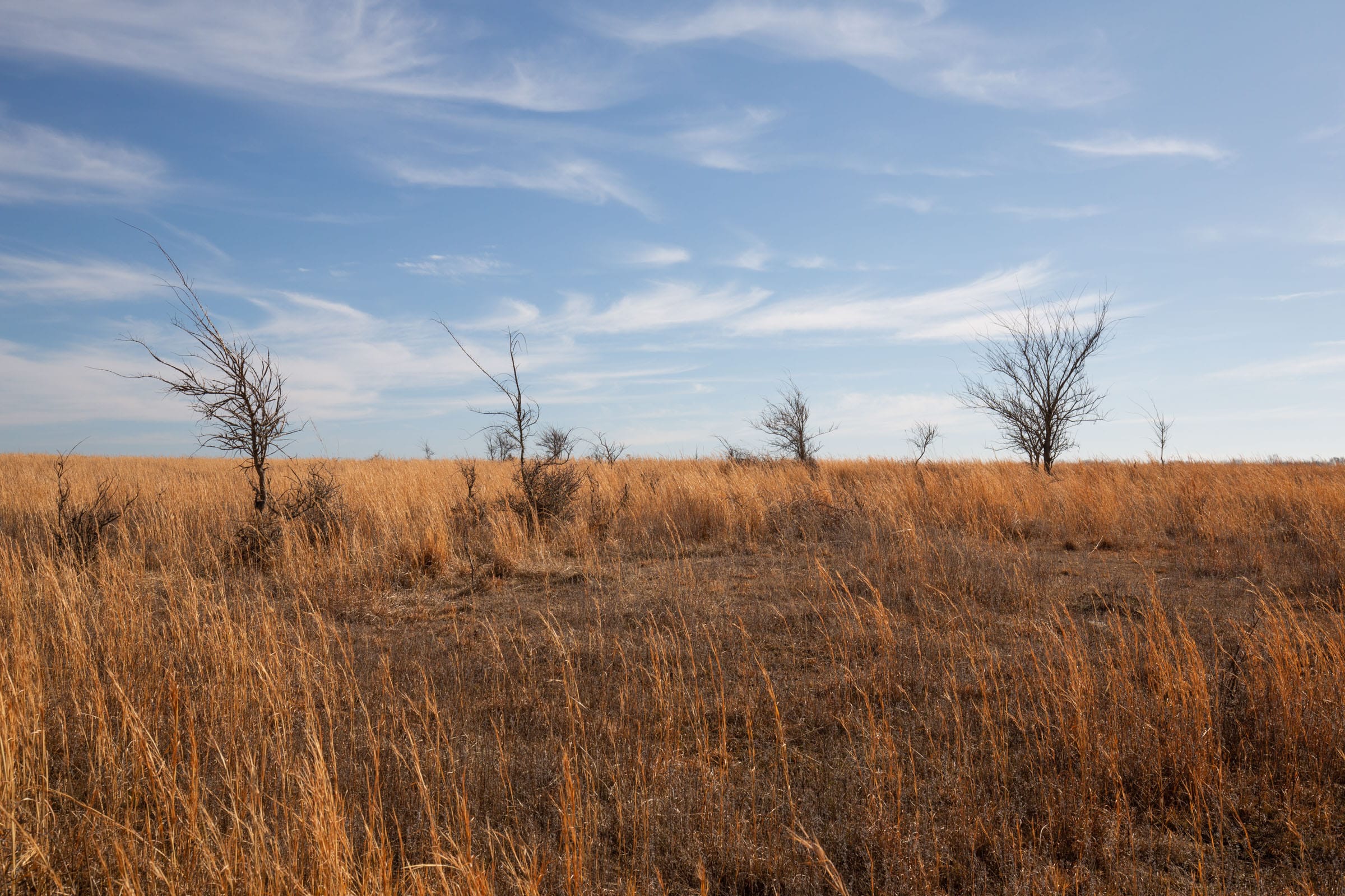 Painted Horse Tract 26 photo 3