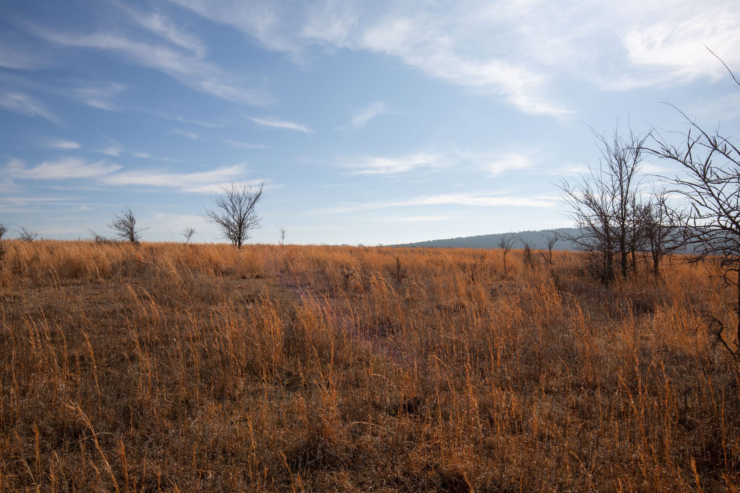 Painted Horse Tract 26 photo 4