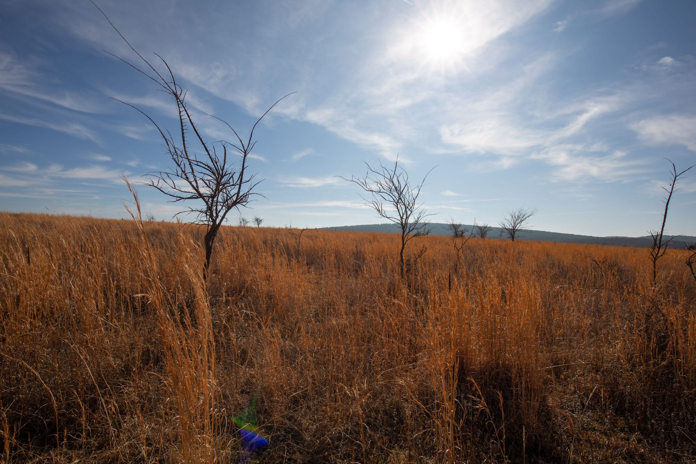 Painted Horse Tract 26 photo 5