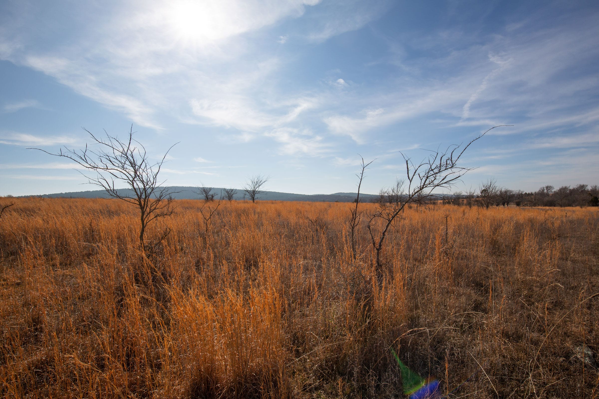 Painted Horse Tract 26 photo 6