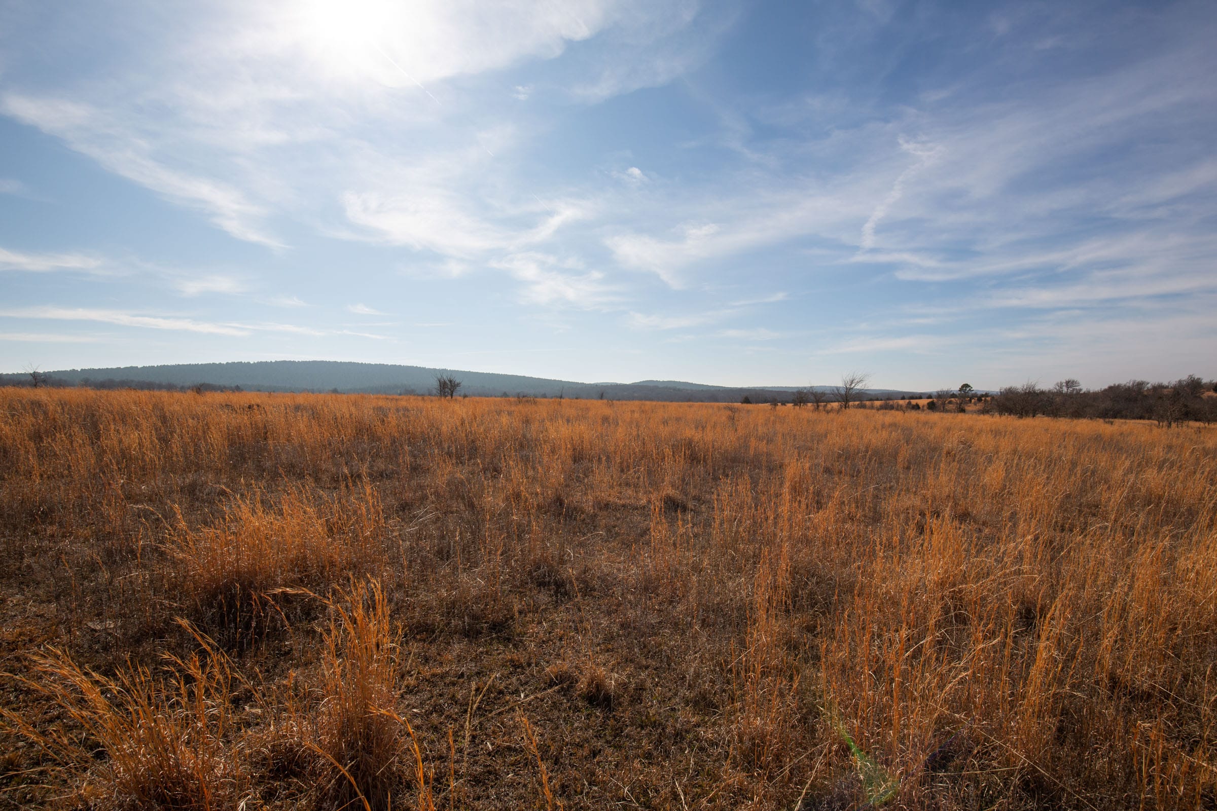 Painted Horse Tract 26 photo 7