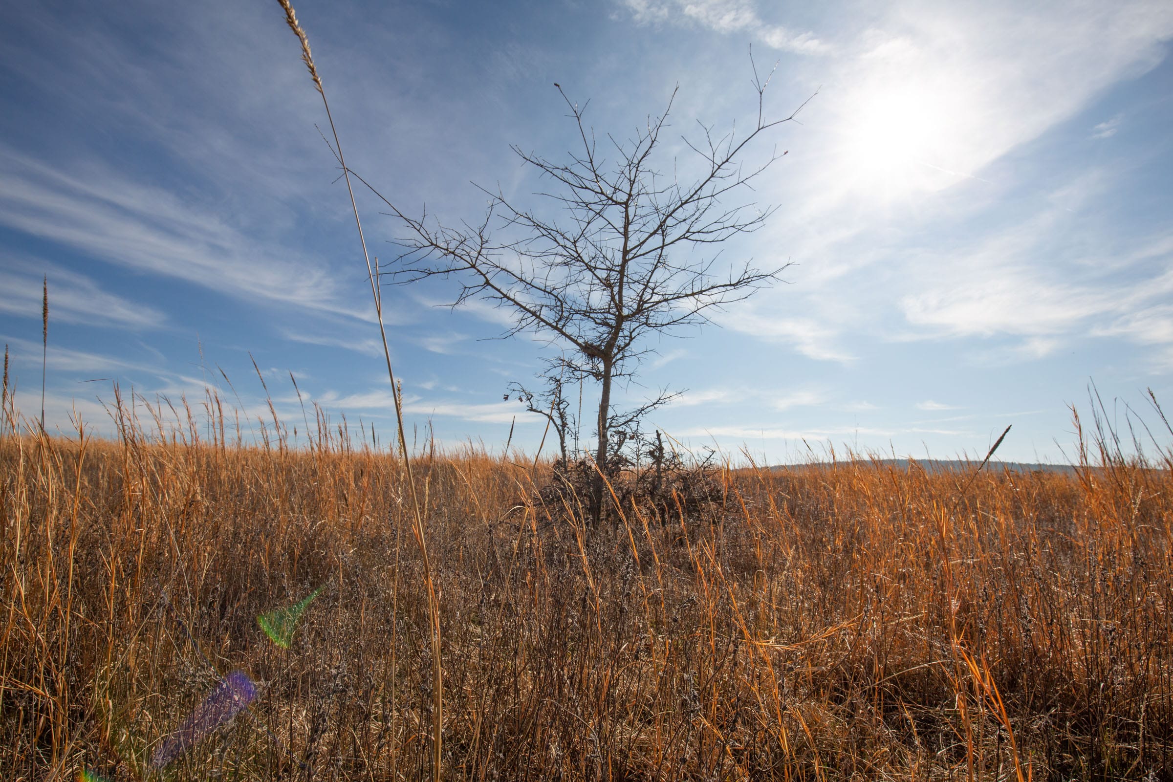 Painted Horse Tract 26 photo 9