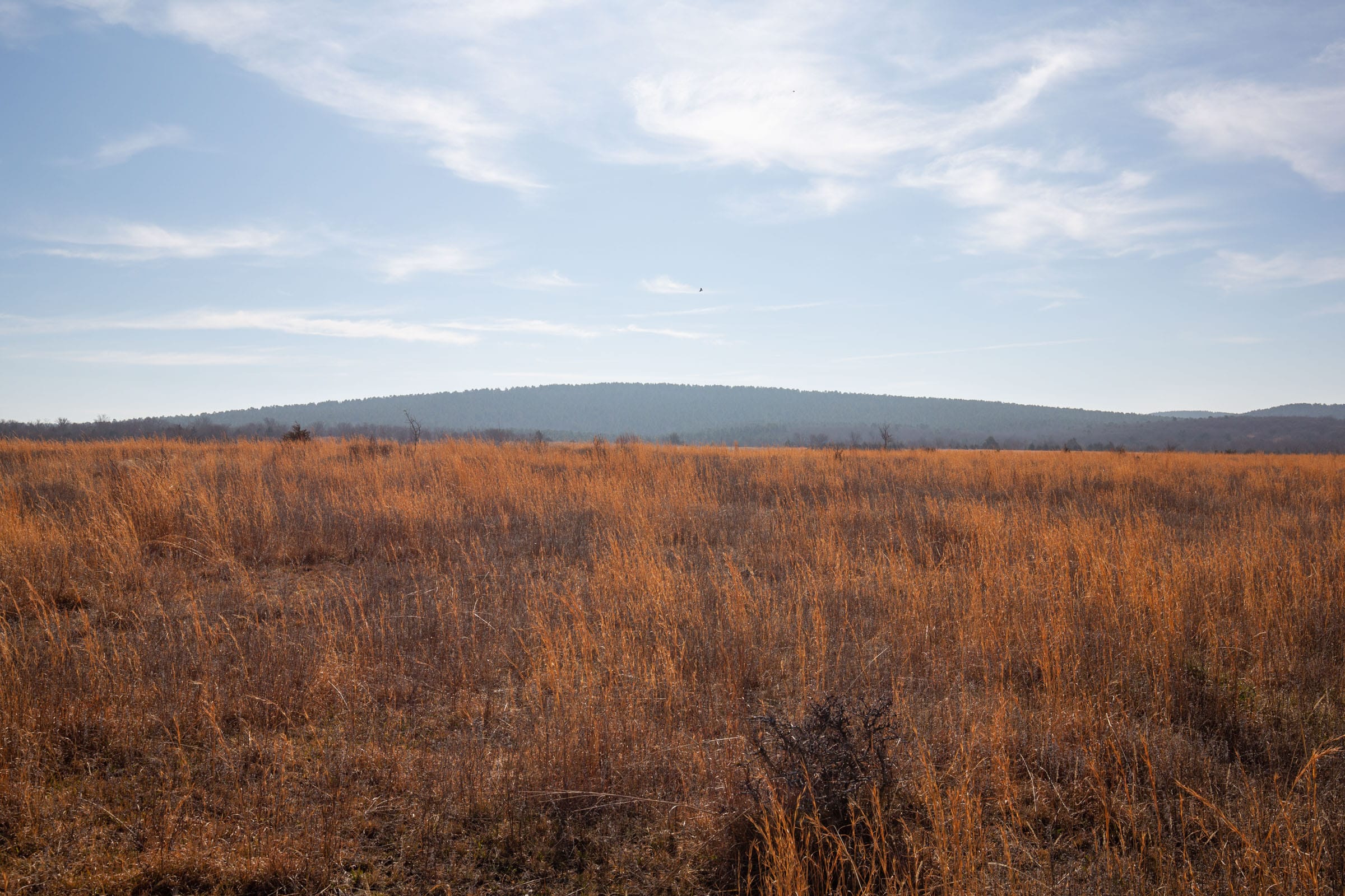 Painted Horse Tract 26 photo 10