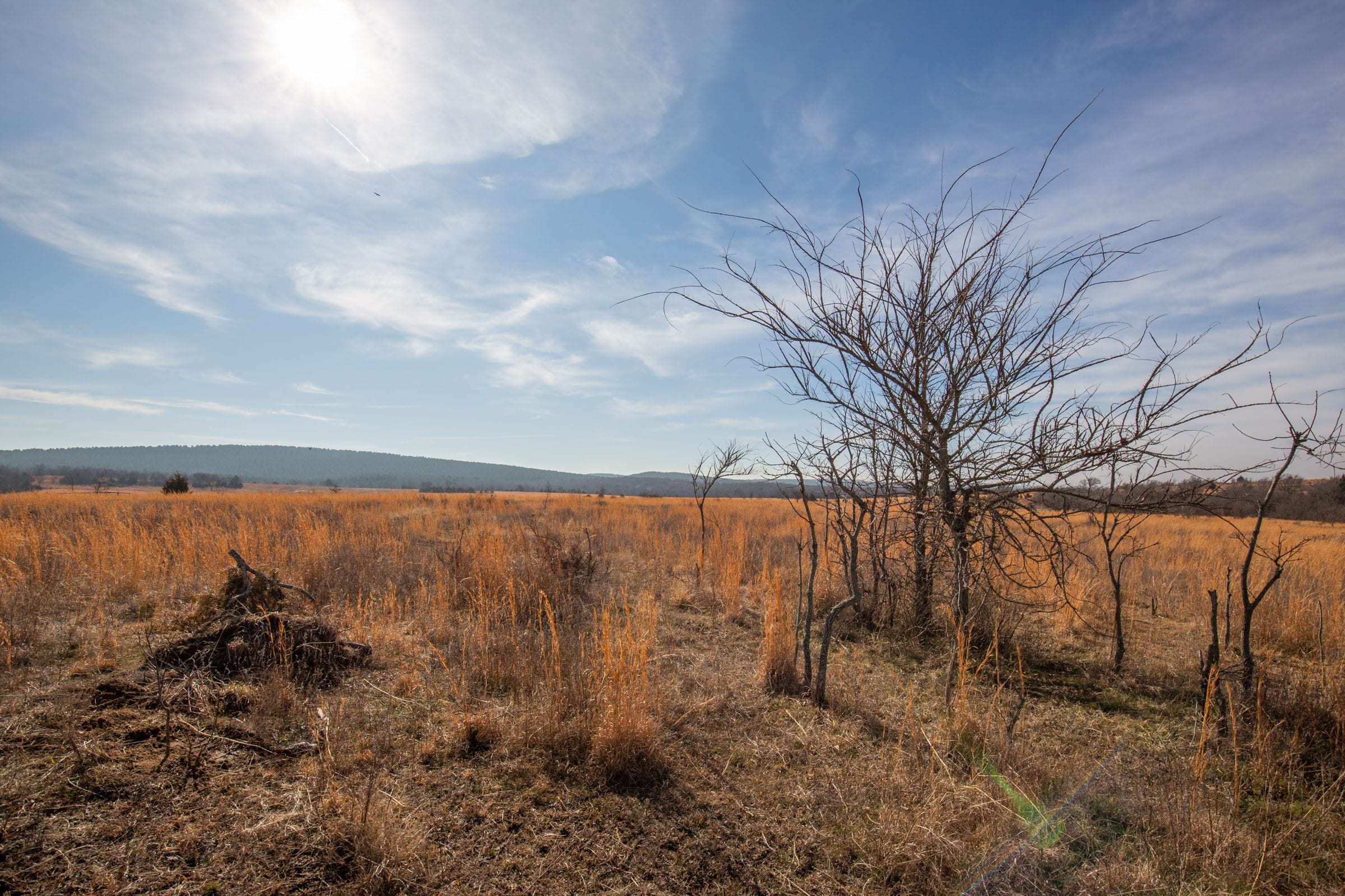 Painted Horse Tract 26 photo 11