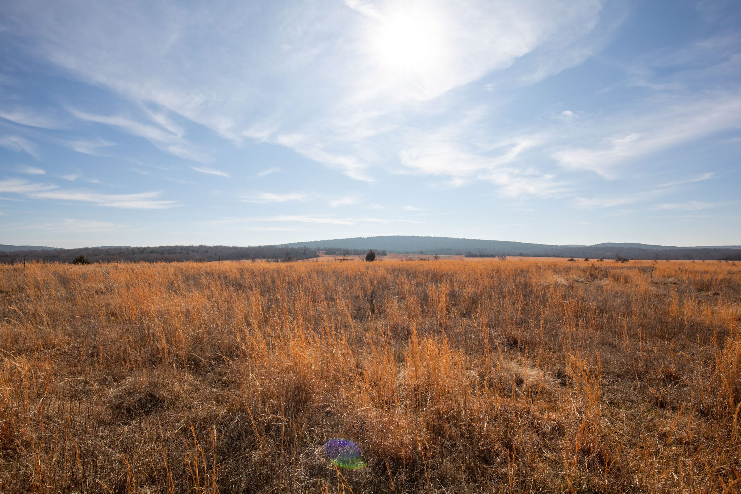Painted Horse Tract 26 photo 12