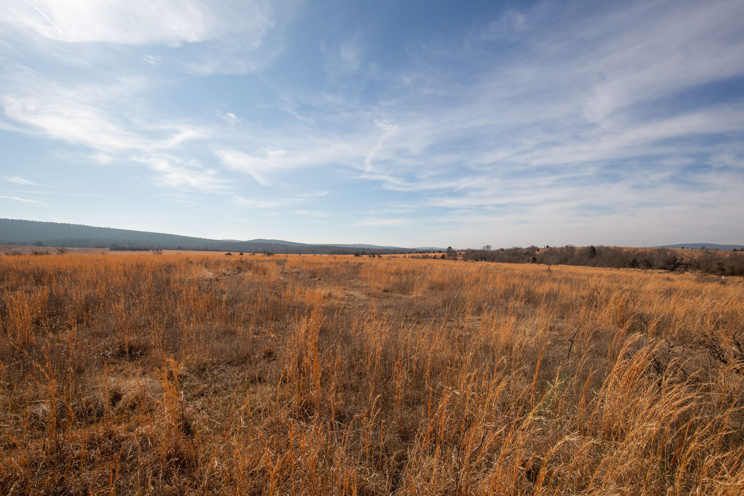 Painted Horse Tract 26 photo 13