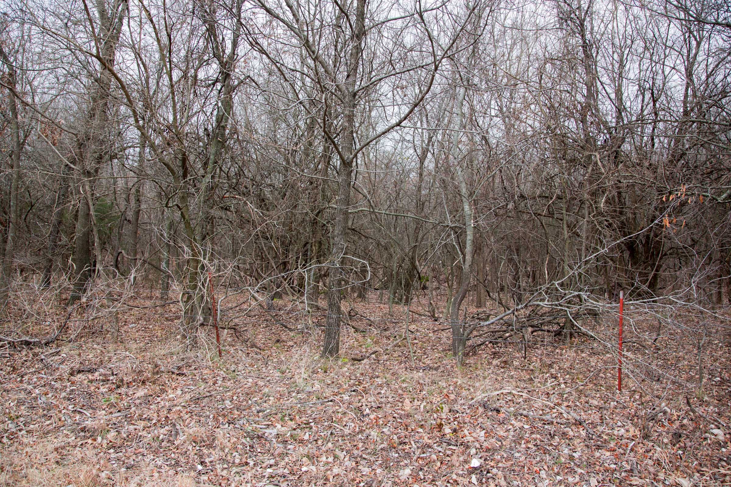 Canadian Plains Tract 6 photo 3