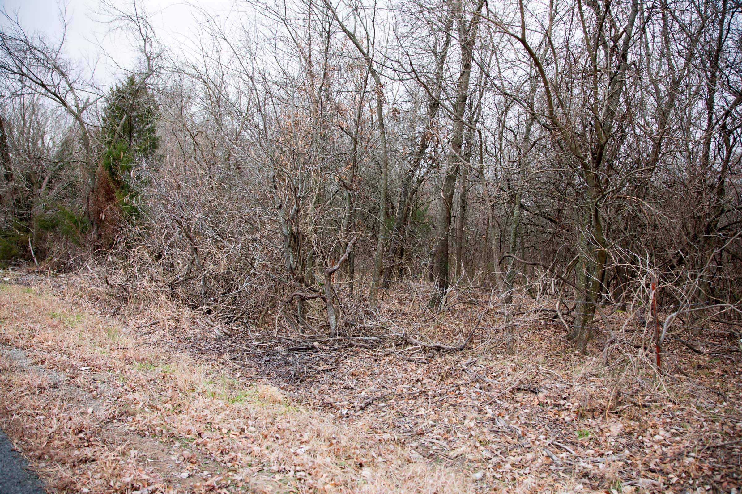 Canadian Plains Tract 6 photo 4