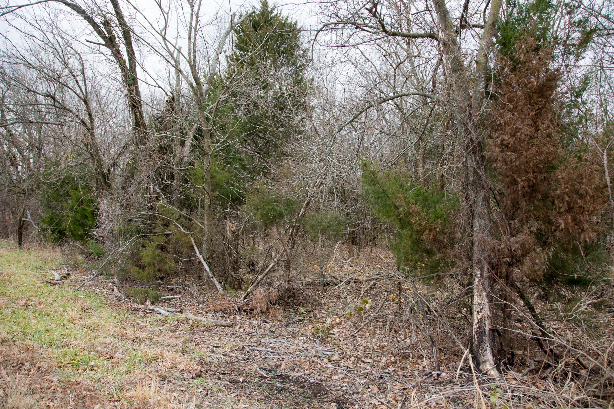 Canadian Plains Tract 6 photo 5