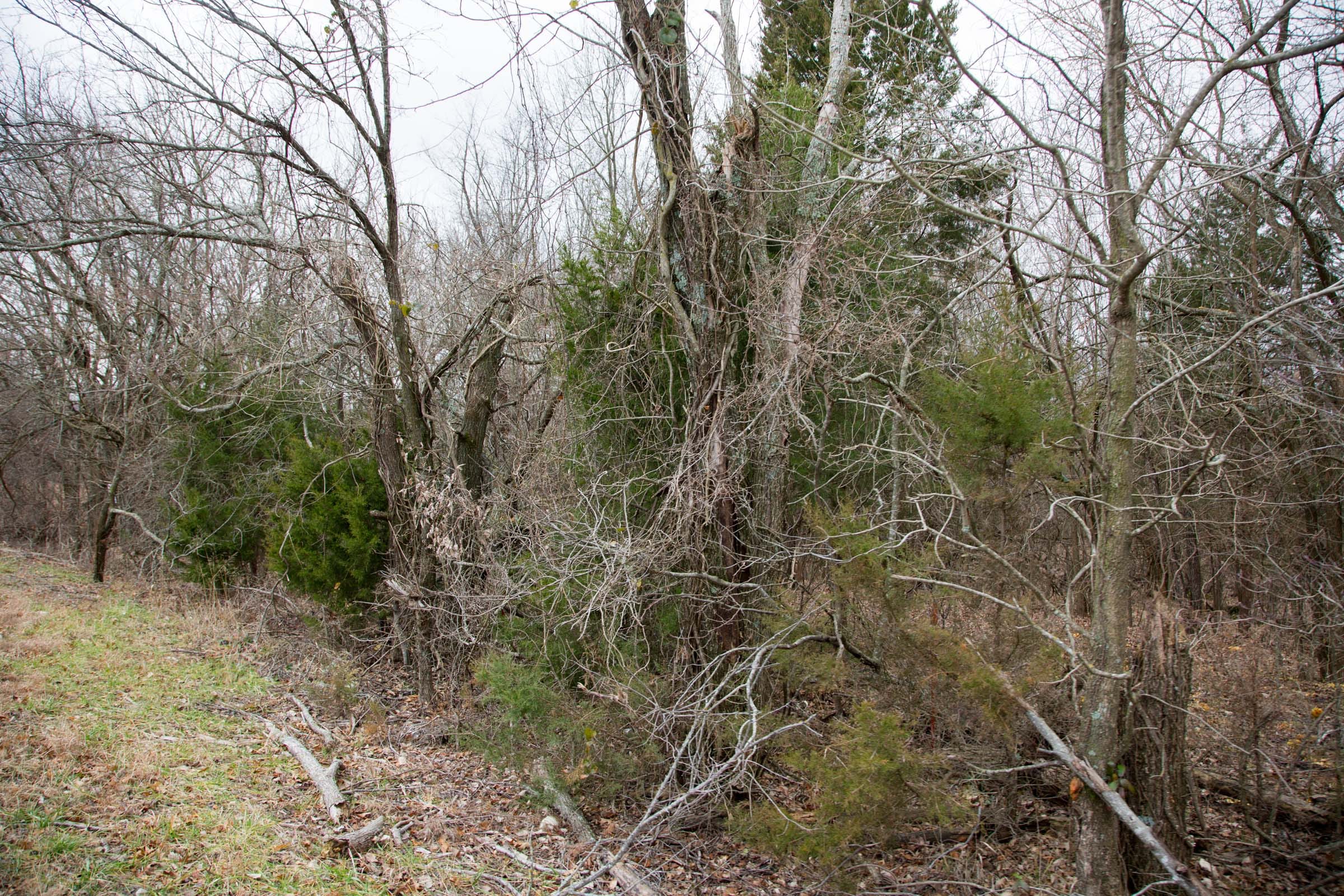 Canadian Plains Tract 6 photo 6