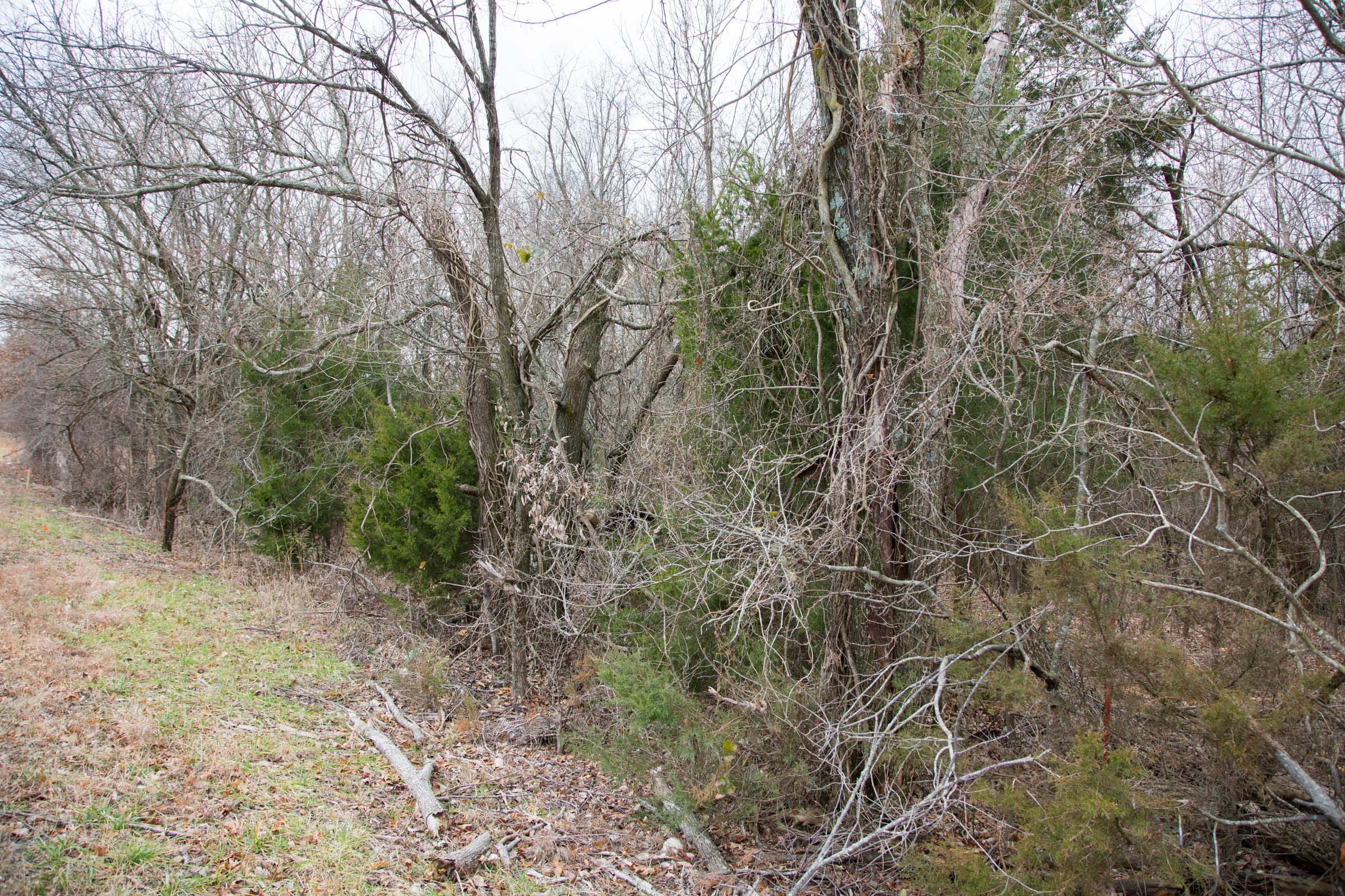 Canadian Plains Tract 6 photo 7