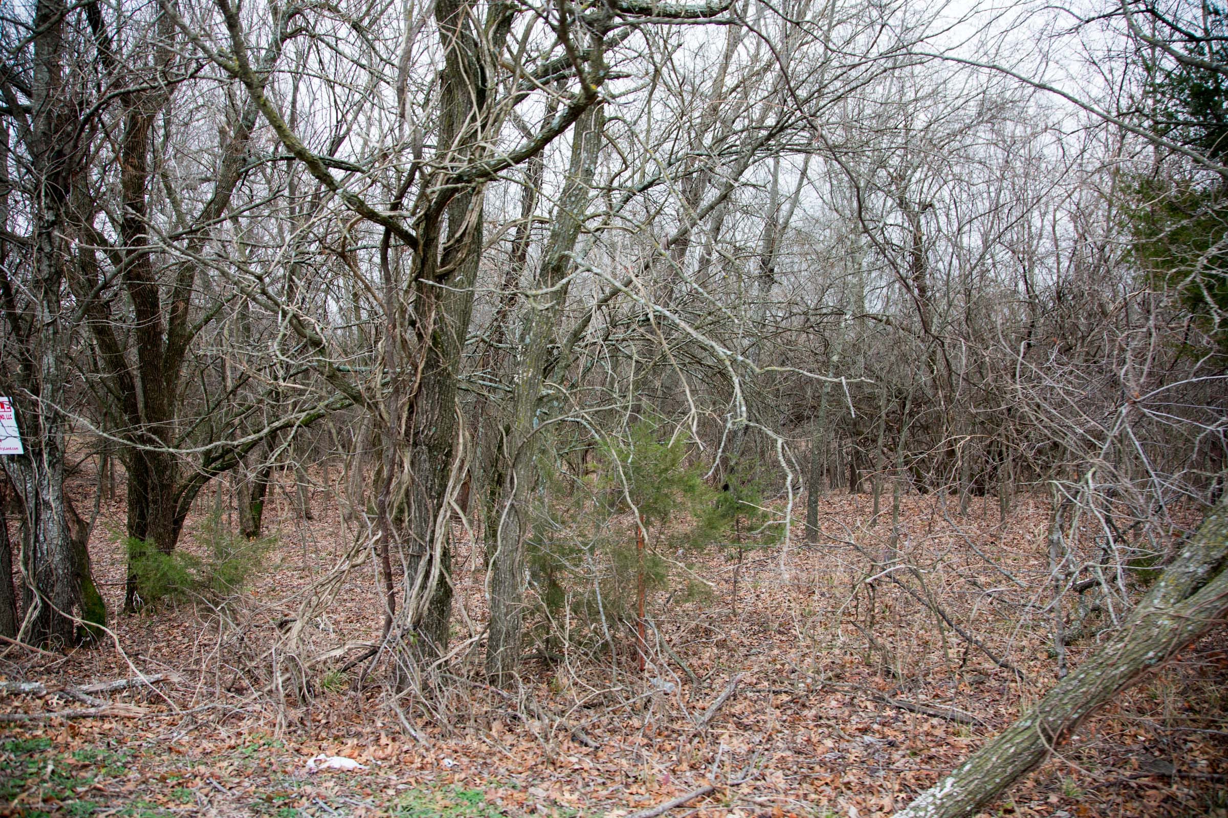 Canadian Plains Tract 6 photo 9