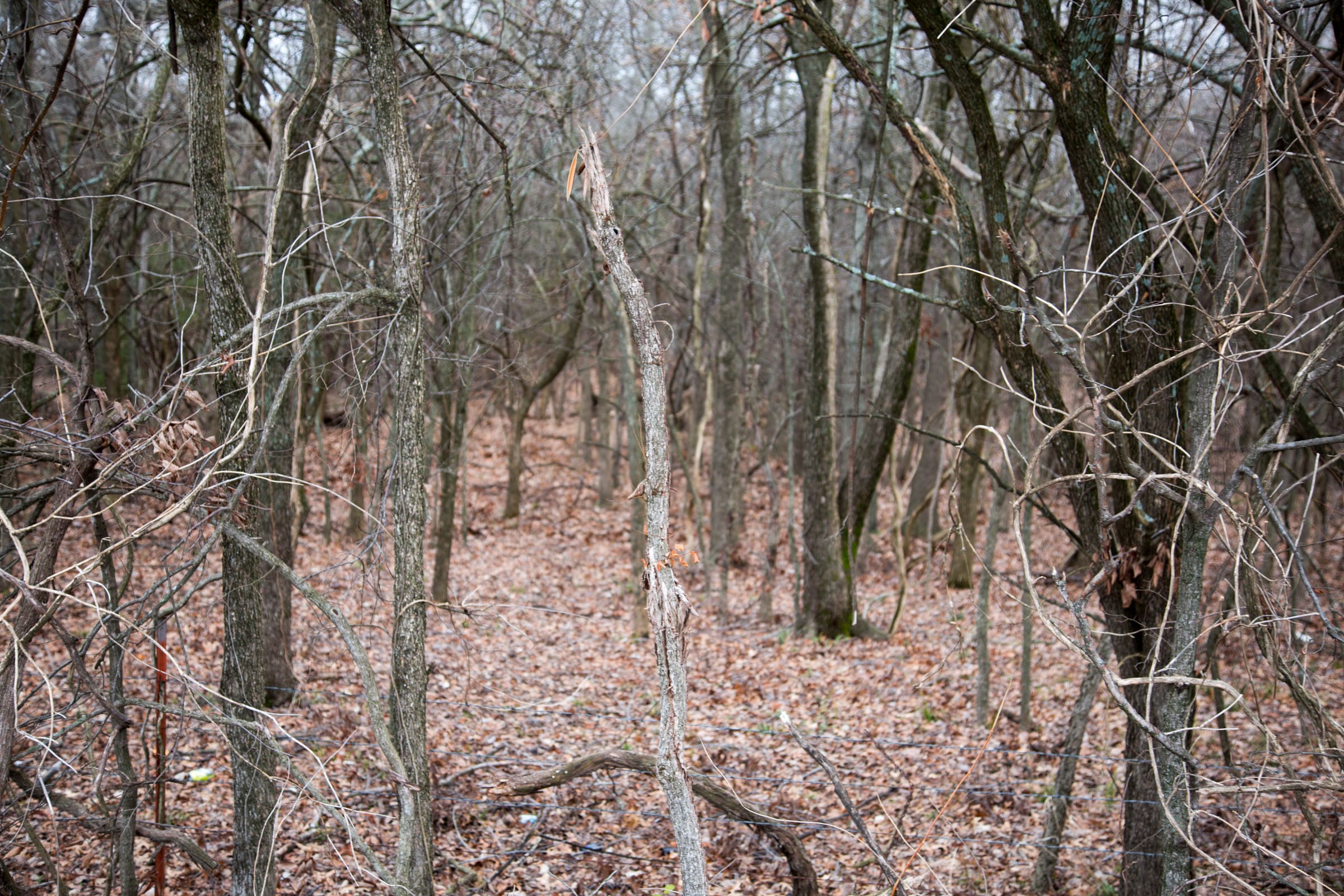 Canadian Plains Tract 6 photo 10