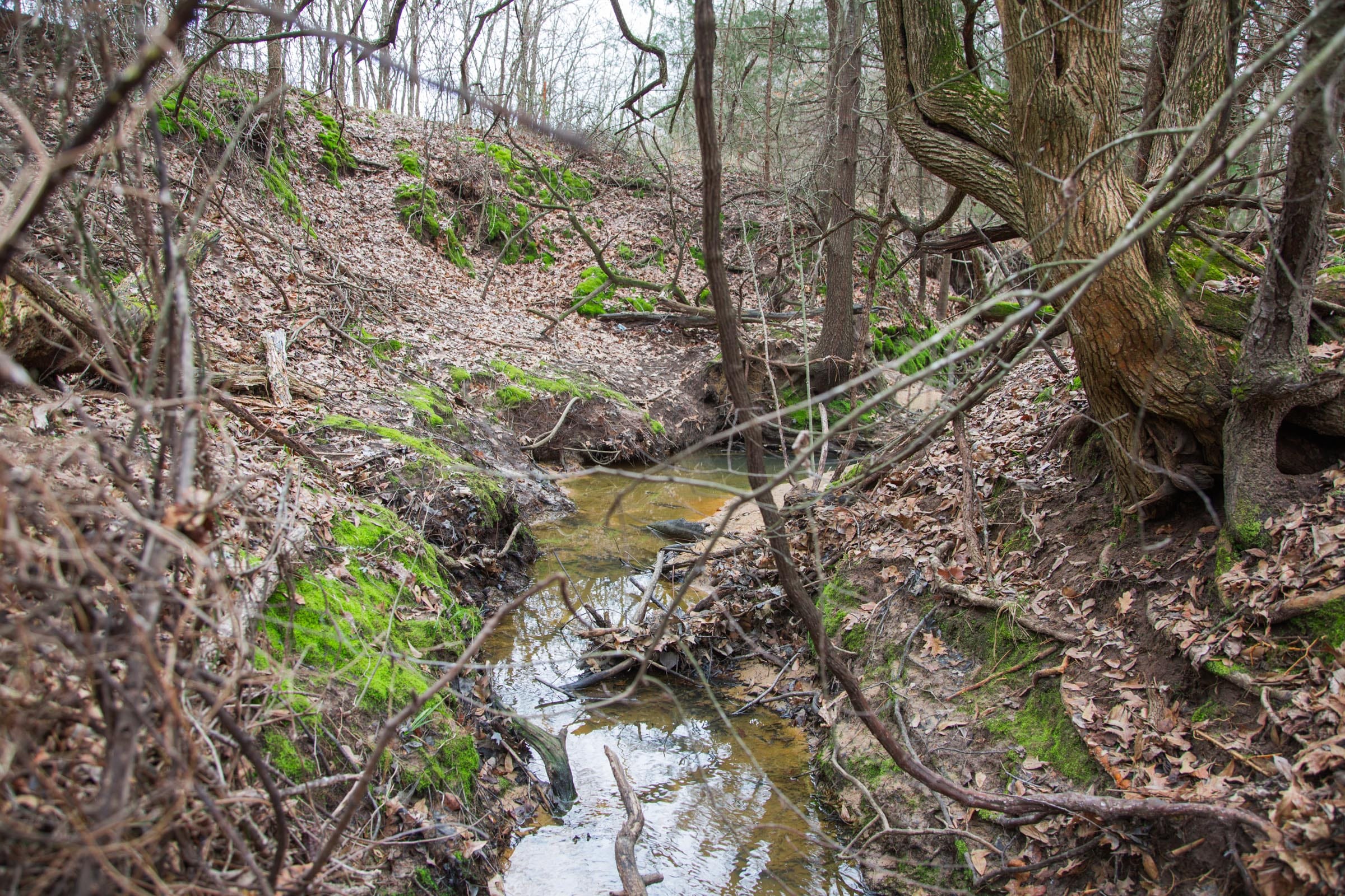 Canadian Plains Tract 6 photo 11