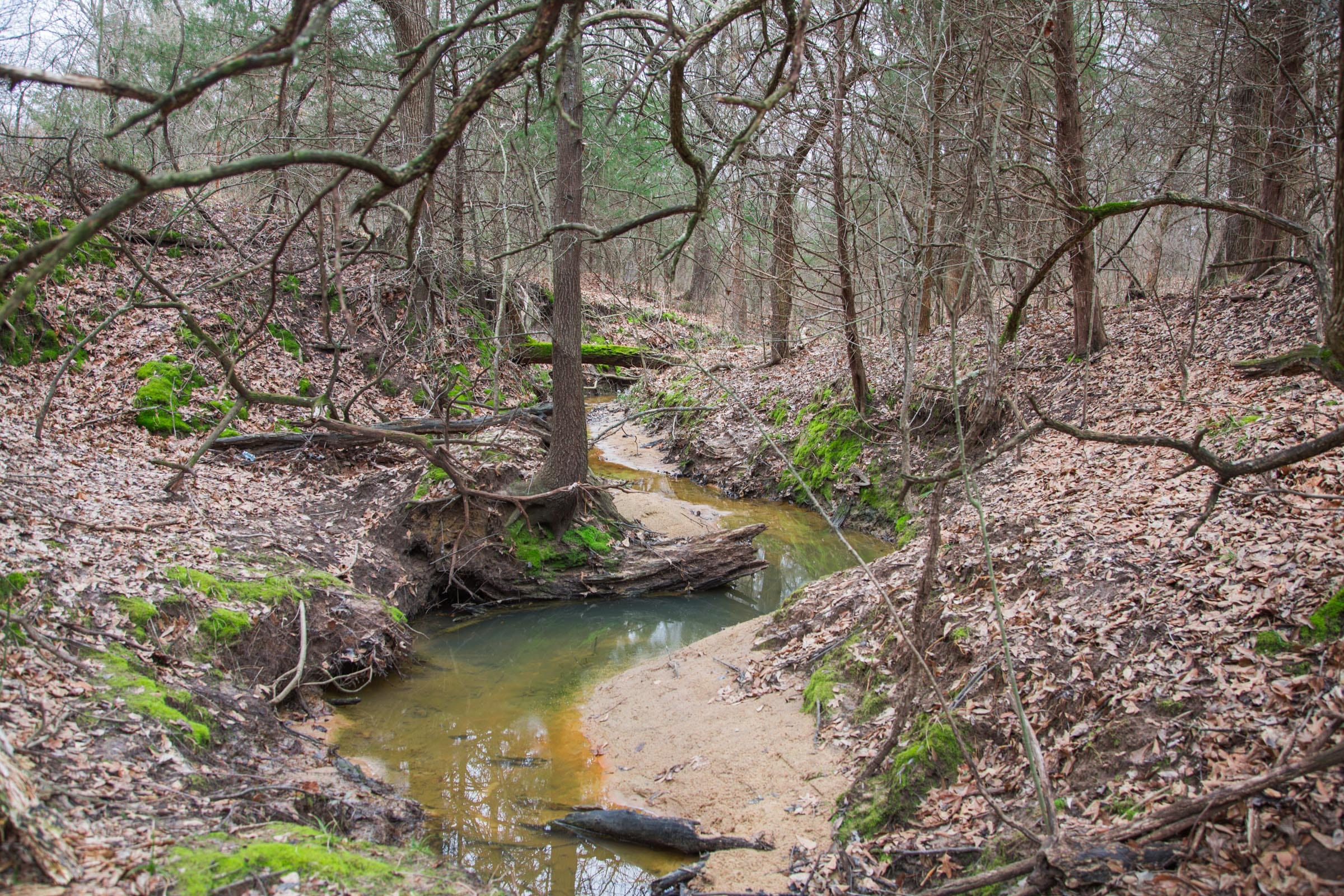 Canadian Plains Tract 6 photo 12