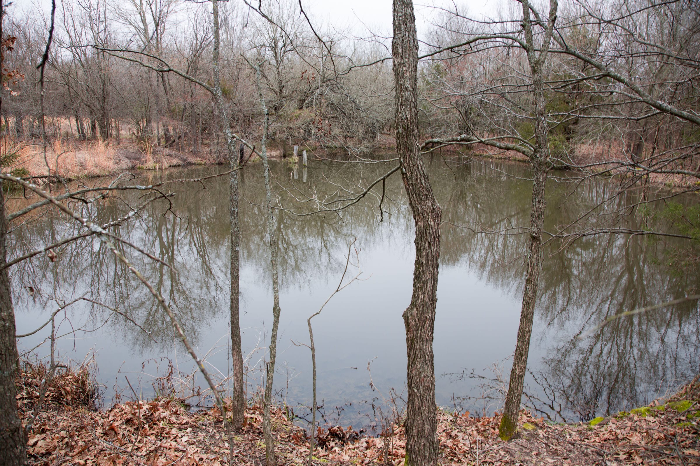 Canadian Plains Tract 6 photo 14