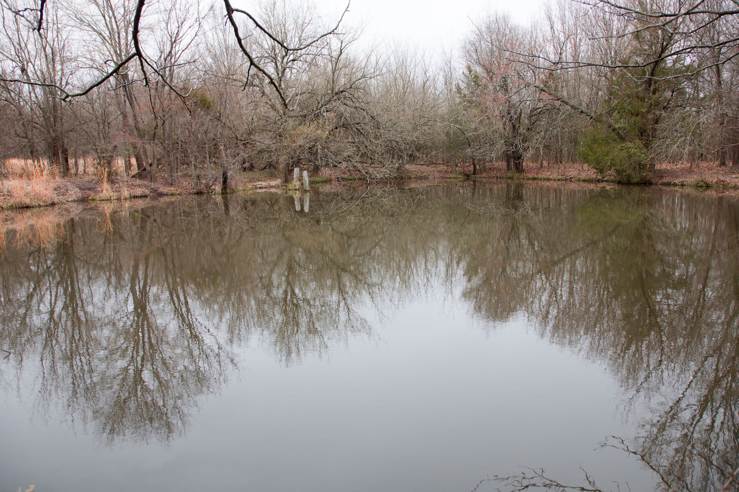 Canadian Plains Tract 6 photo 15