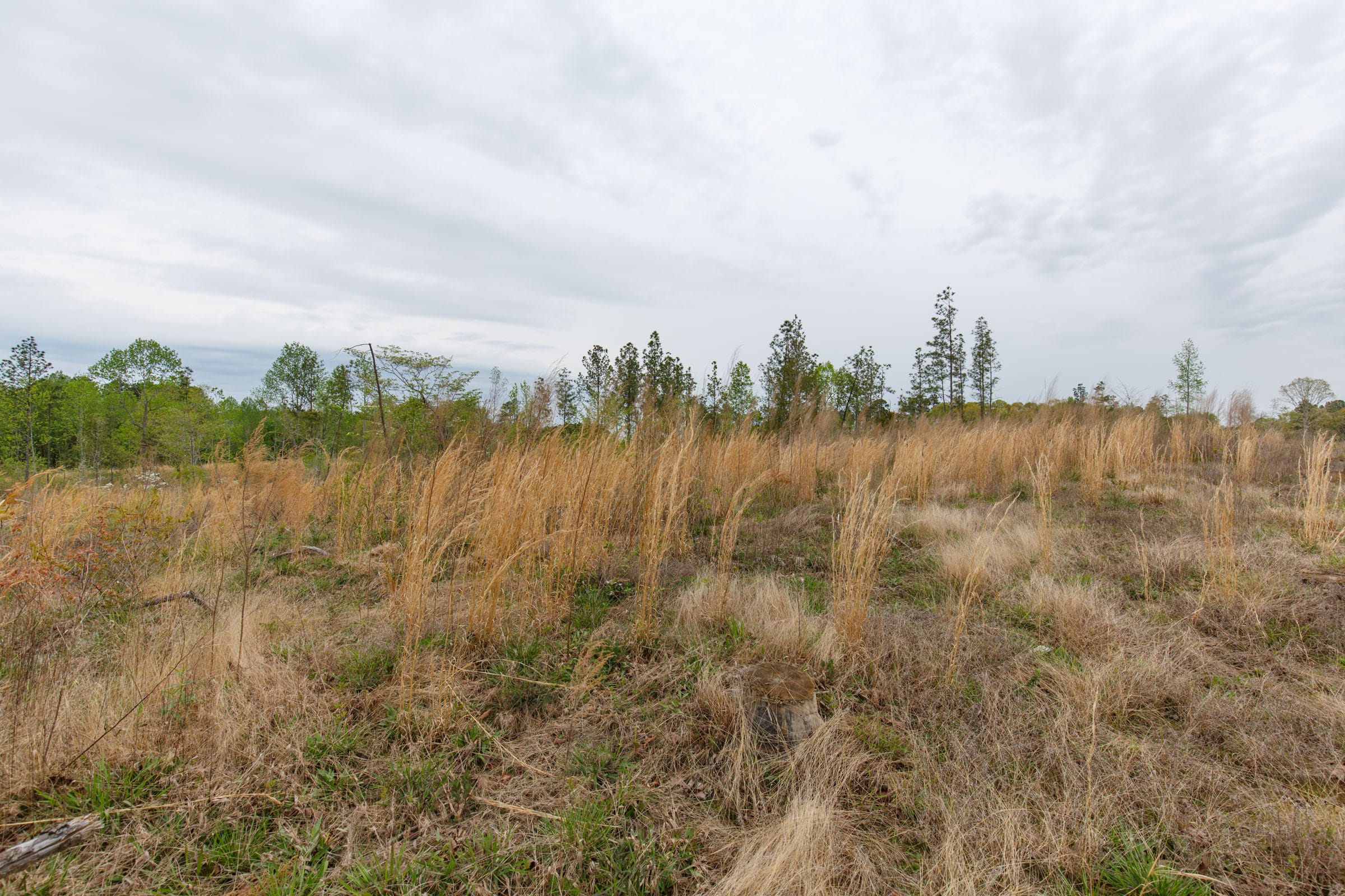 Twin Rivers Tract 10 photo 3