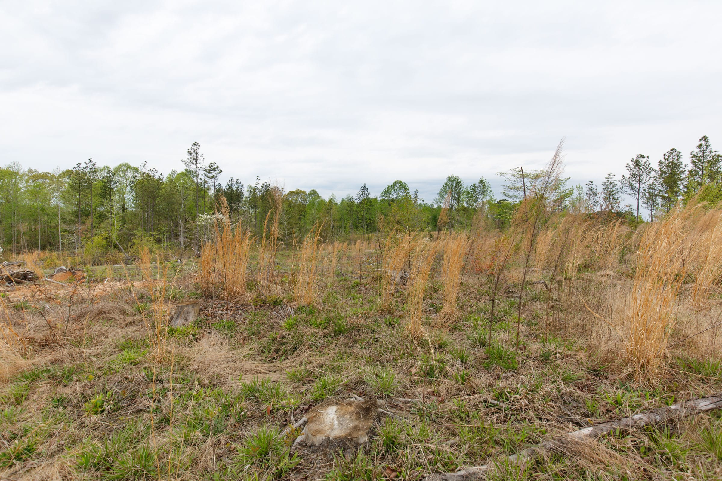 Twin Rivers Tract 10 photo 6
