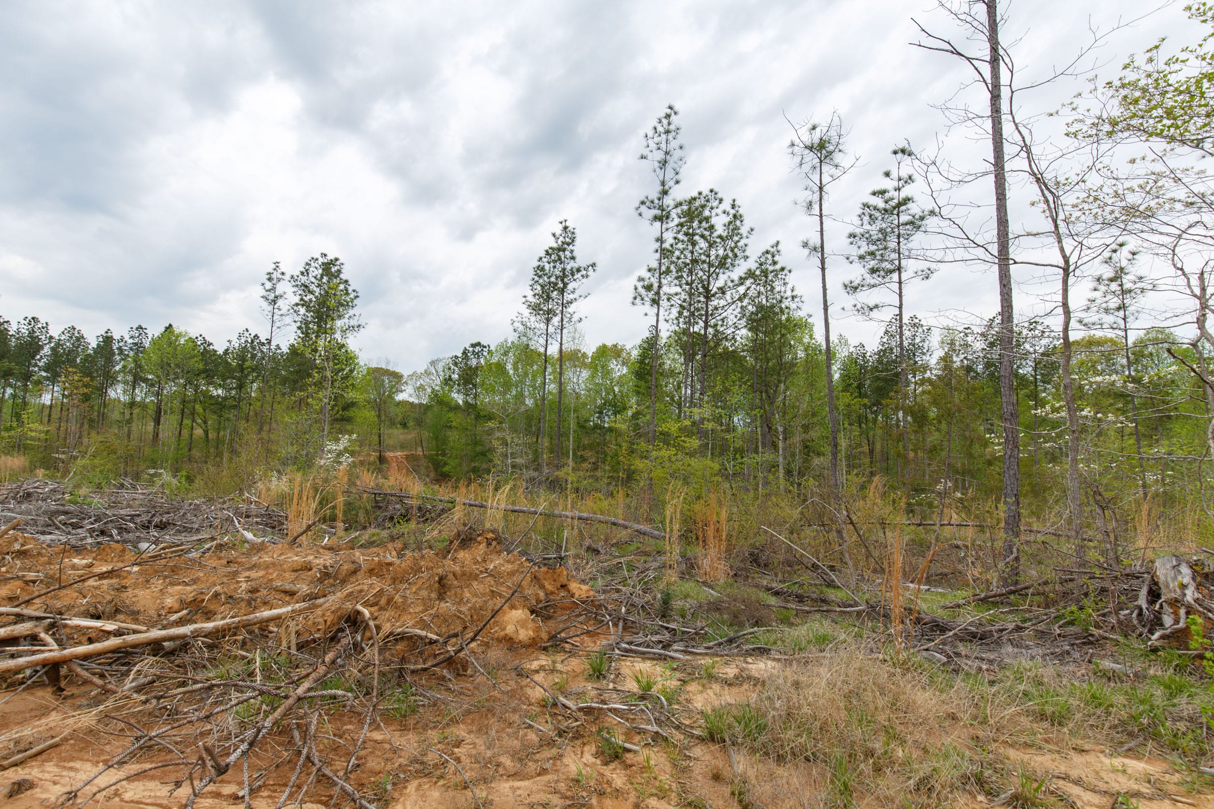 Twin Rivers Tract 10 photo 4