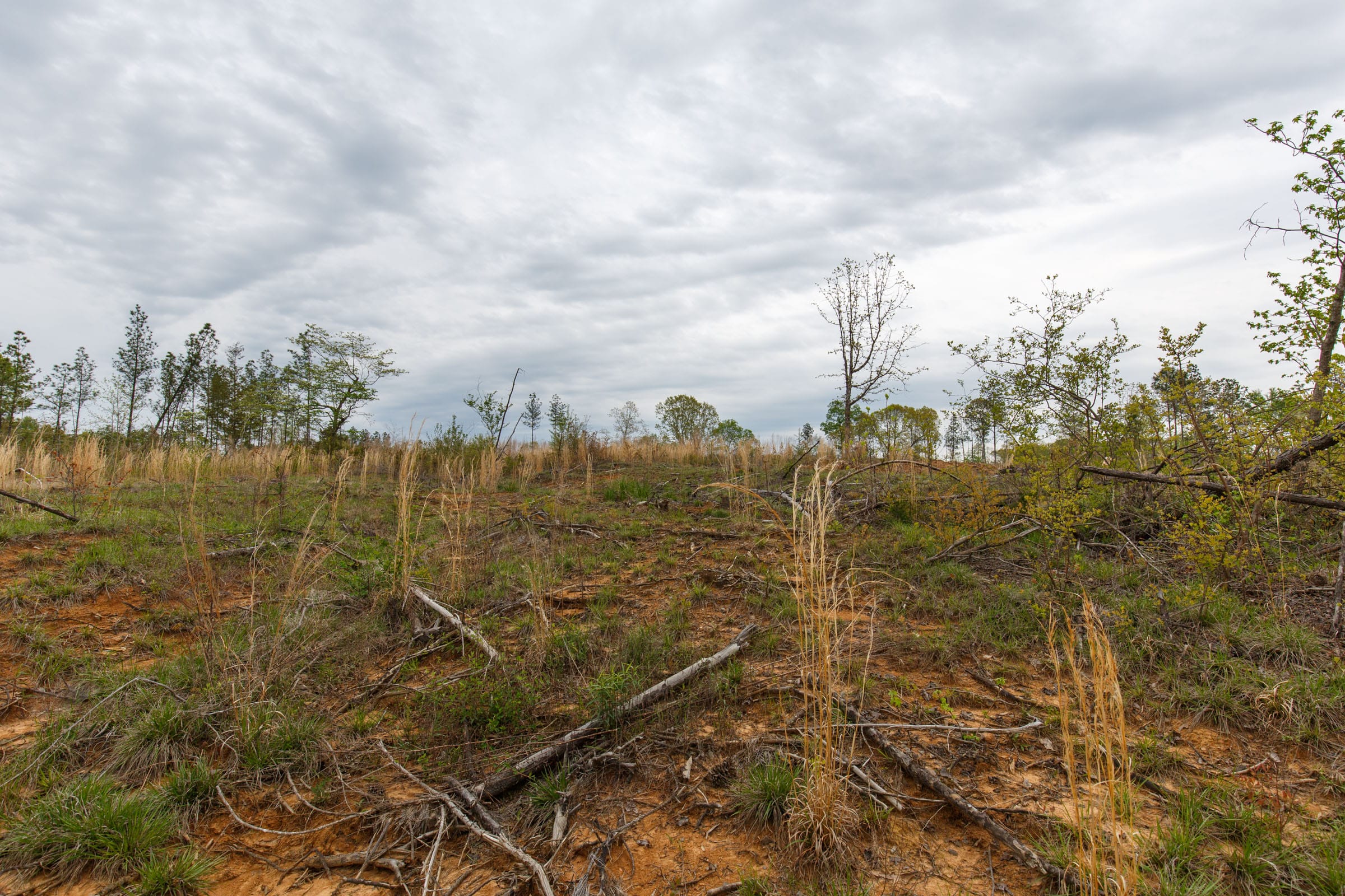 Twin Rivers Tract 10 photo 7