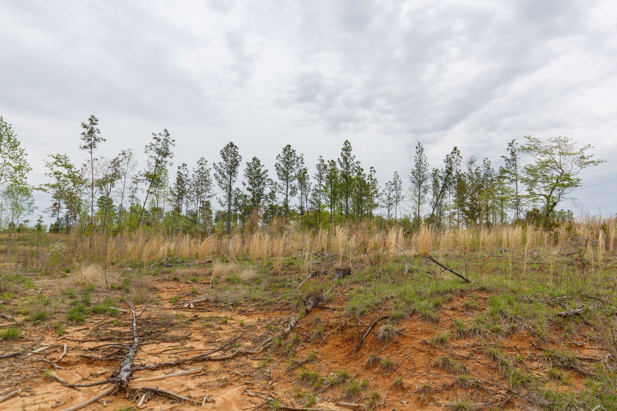 Twin Rivers Tract 10 photo 9