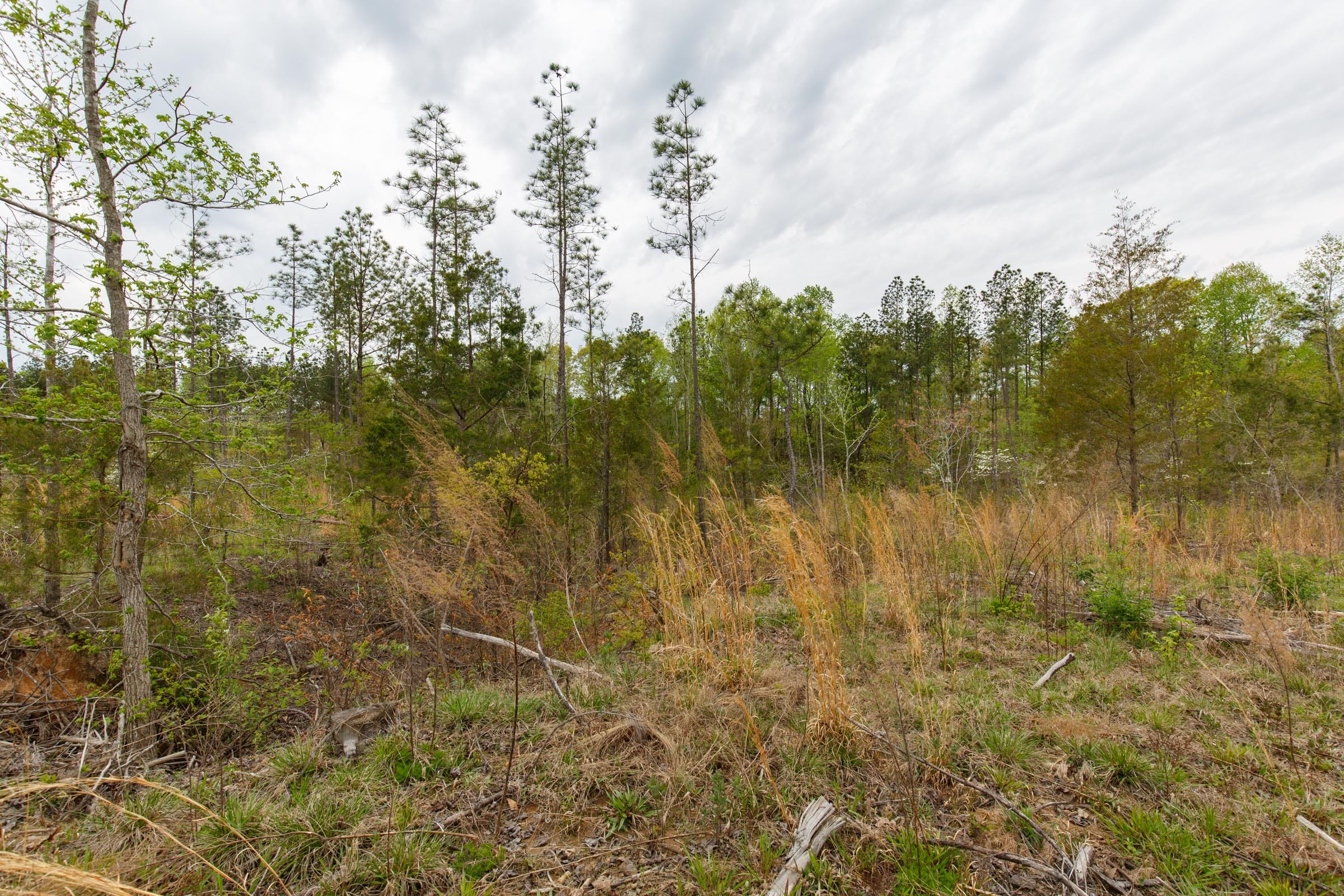 Twin Rivers Tract 10 photo 10