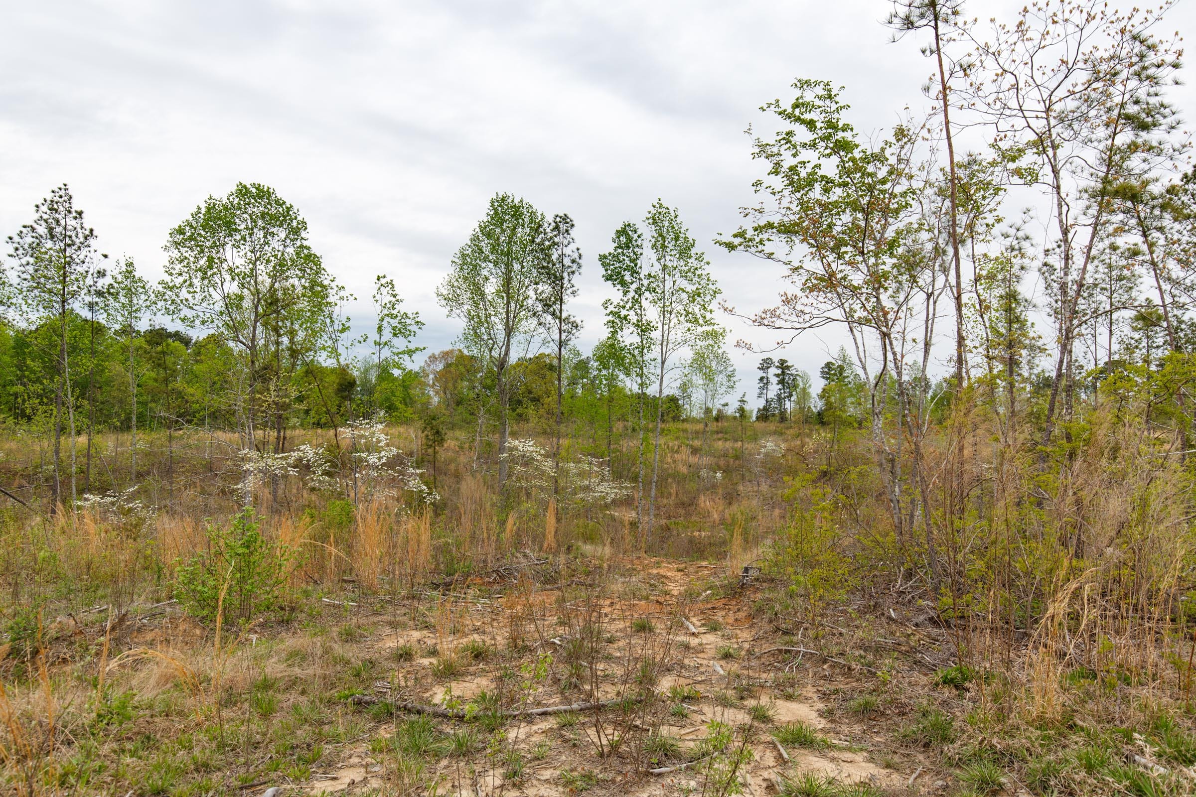 Twin Rivers Tract 10 photo 11