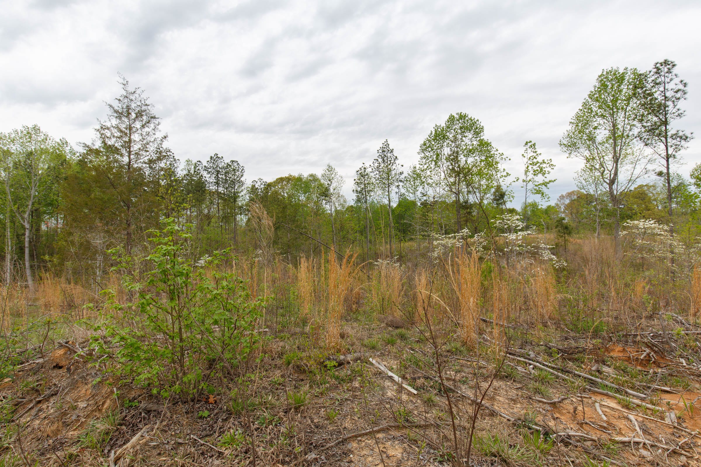 Twin Rivers Tract 10 photo 14