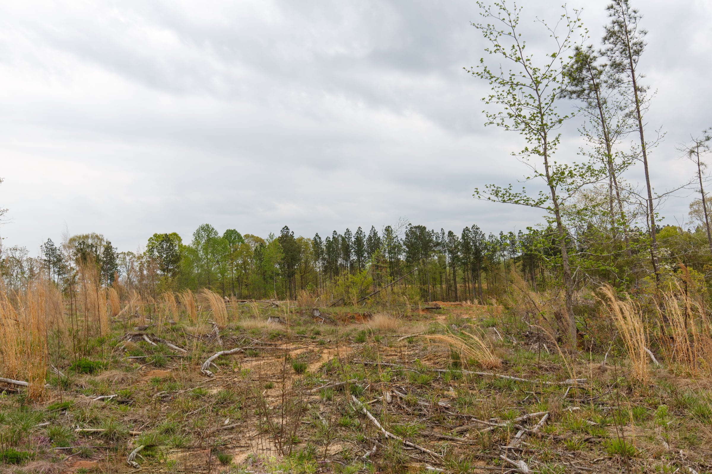 Twin Rivers Tract 10 photo 15