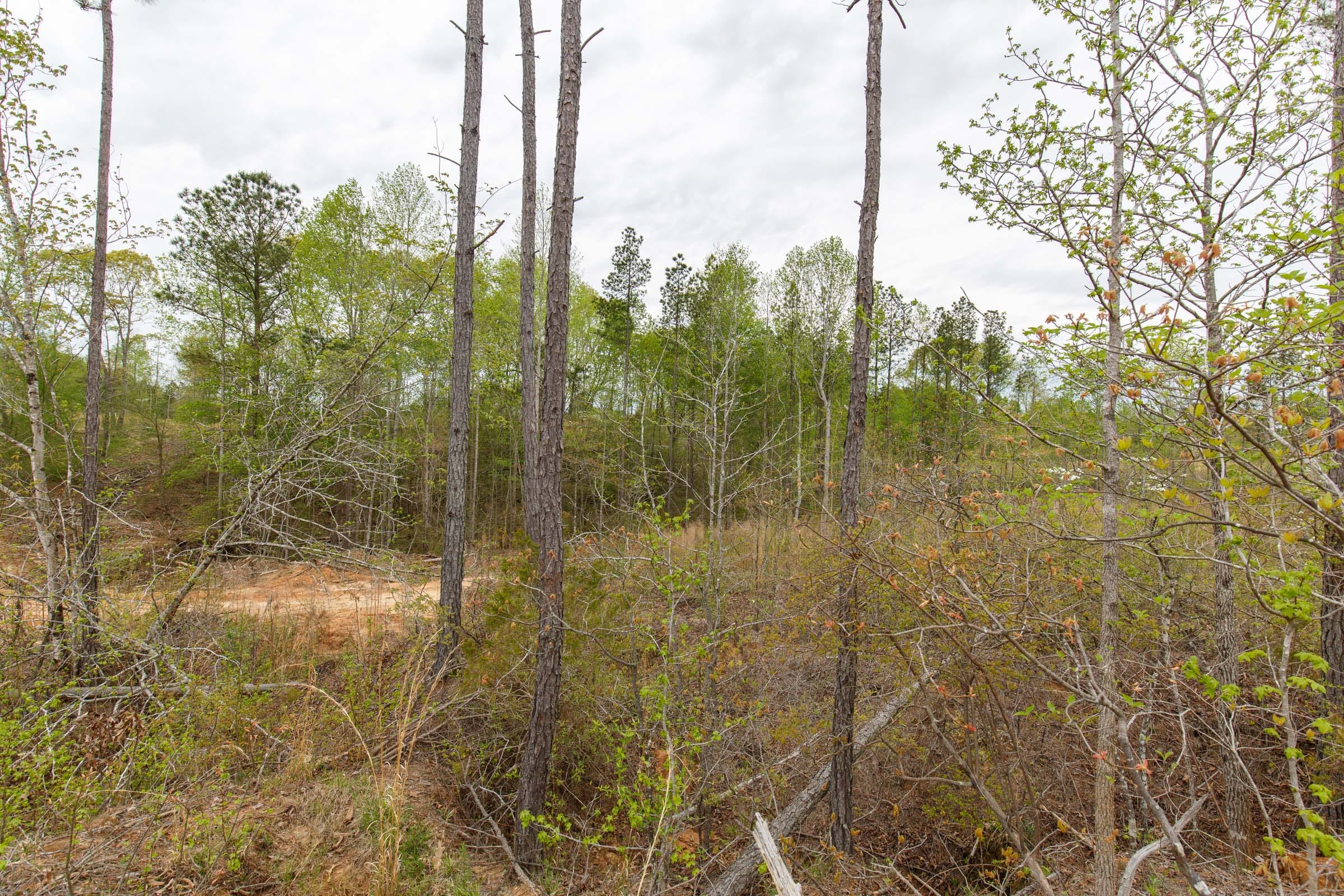 Twin Rivers Tract 10 photo 12