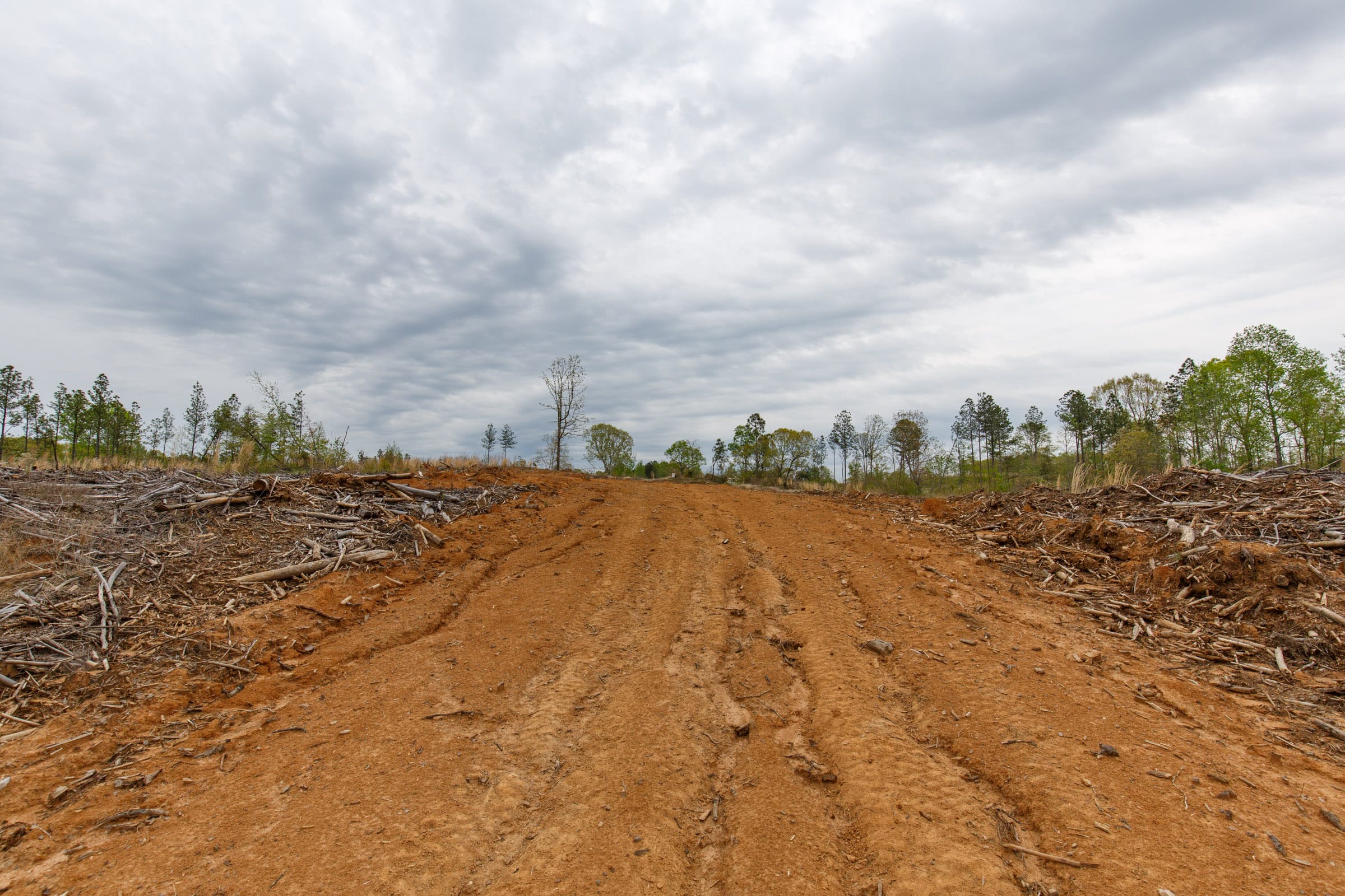 Twin Rivers Tract 10 photo 2