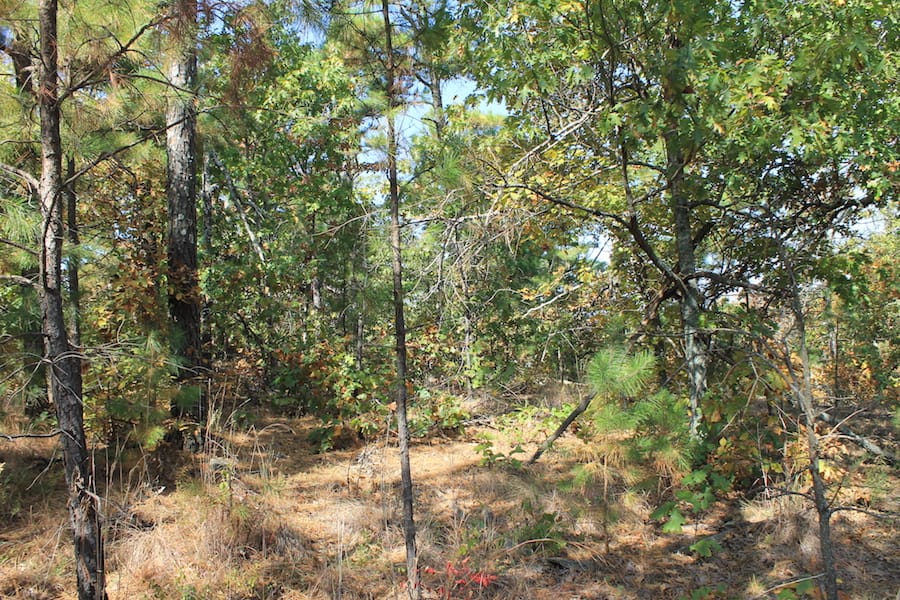 Indian Ridge – Phase III Tract 113 photo 4