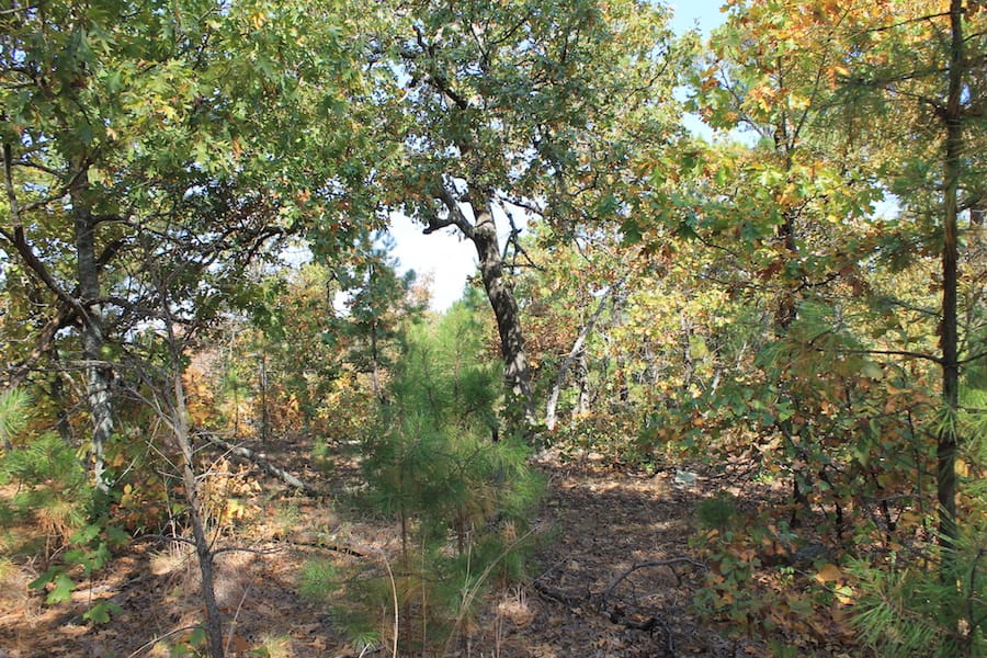 Indian Ridge – Phase III Tract 113 photo 5