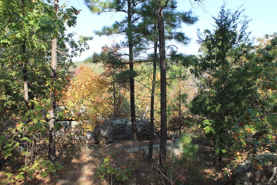 Indian Ridge – Phase III Tract 113 photo 6