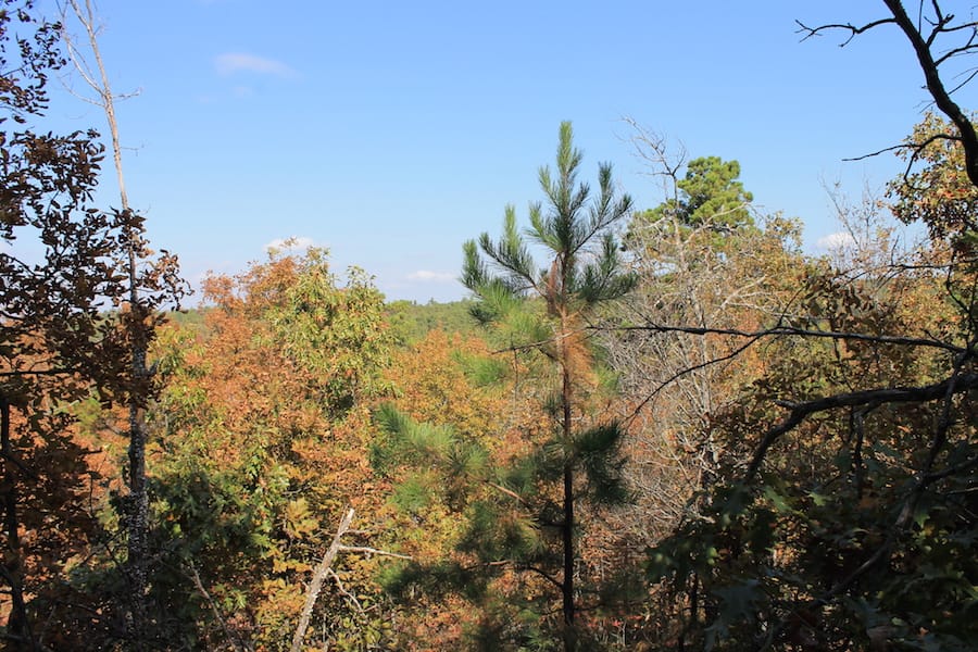 Indian Ridge – Phase III Tract 113 photo 7