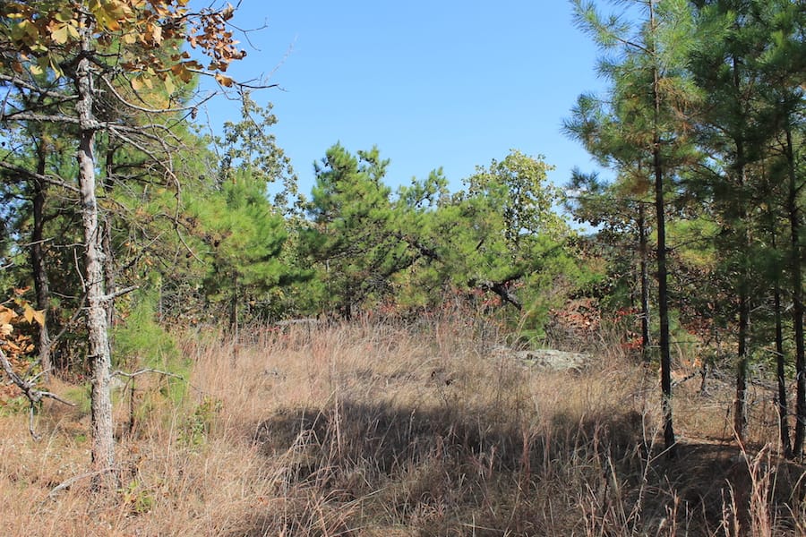 Indian Ridge – Phase III Tract 113 photo 10
