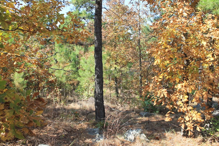 Indian Ridge – Phase III Tract 113 photo 11