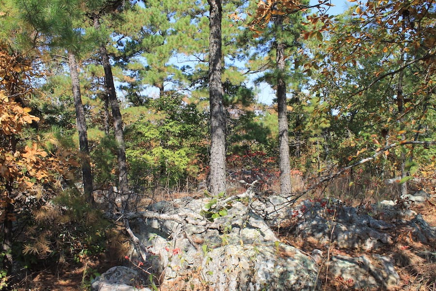 Indian Ridge – Phase III Tract 113 photo 12
