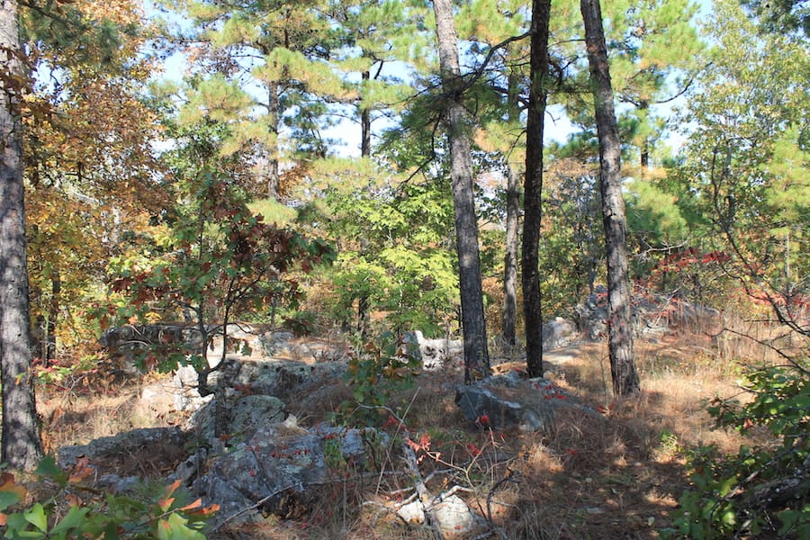 Indian Ridge – Phase III Tract 113 photo 13
