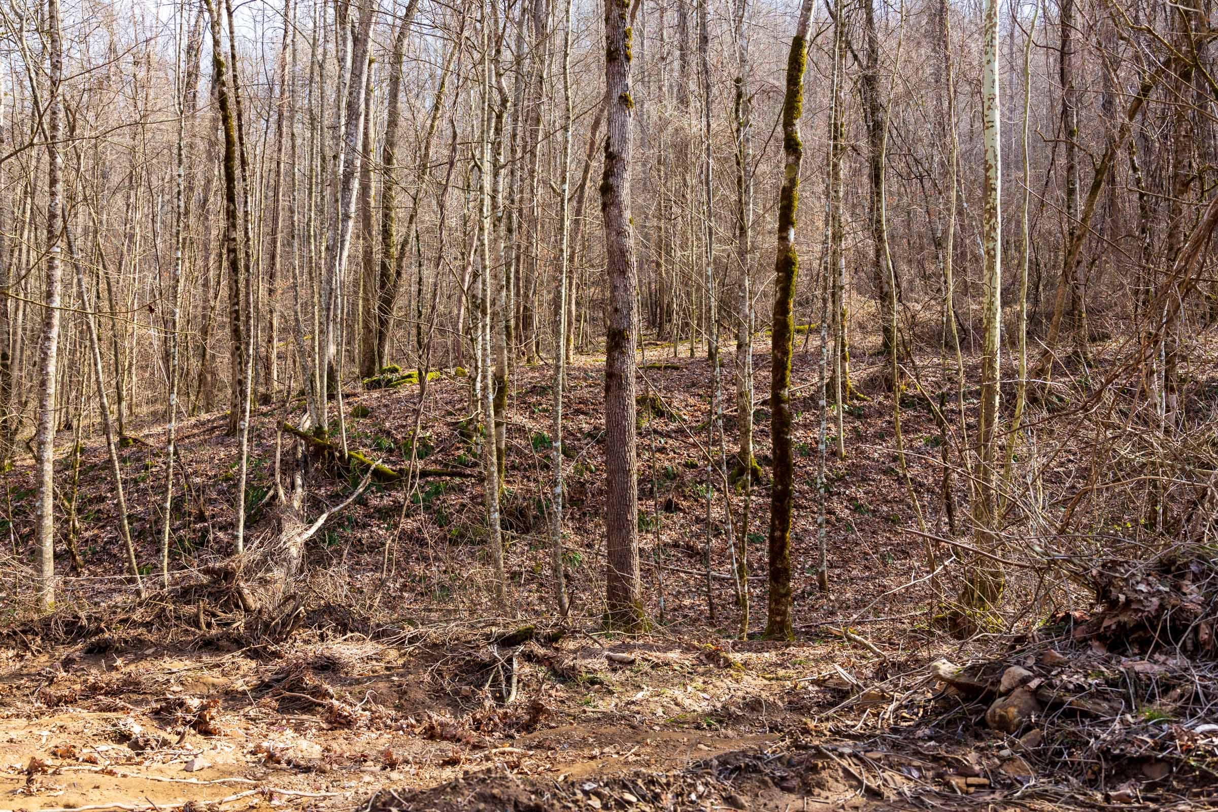 Blackstone Mountain Phase II Tract 64 photo 1