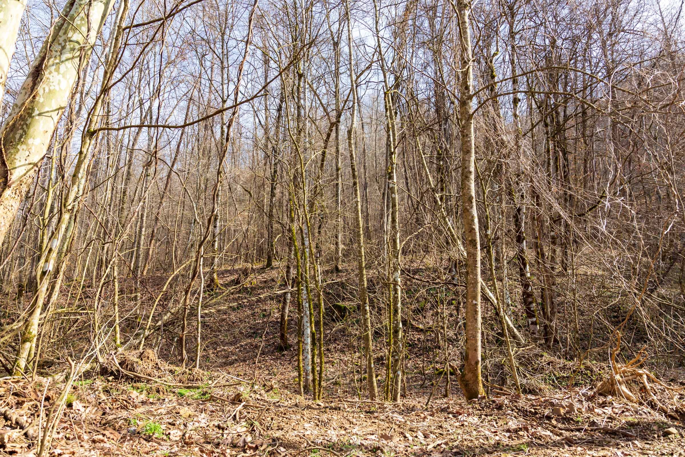 Blackstone Mountain Phase II Tract 64 photo 3